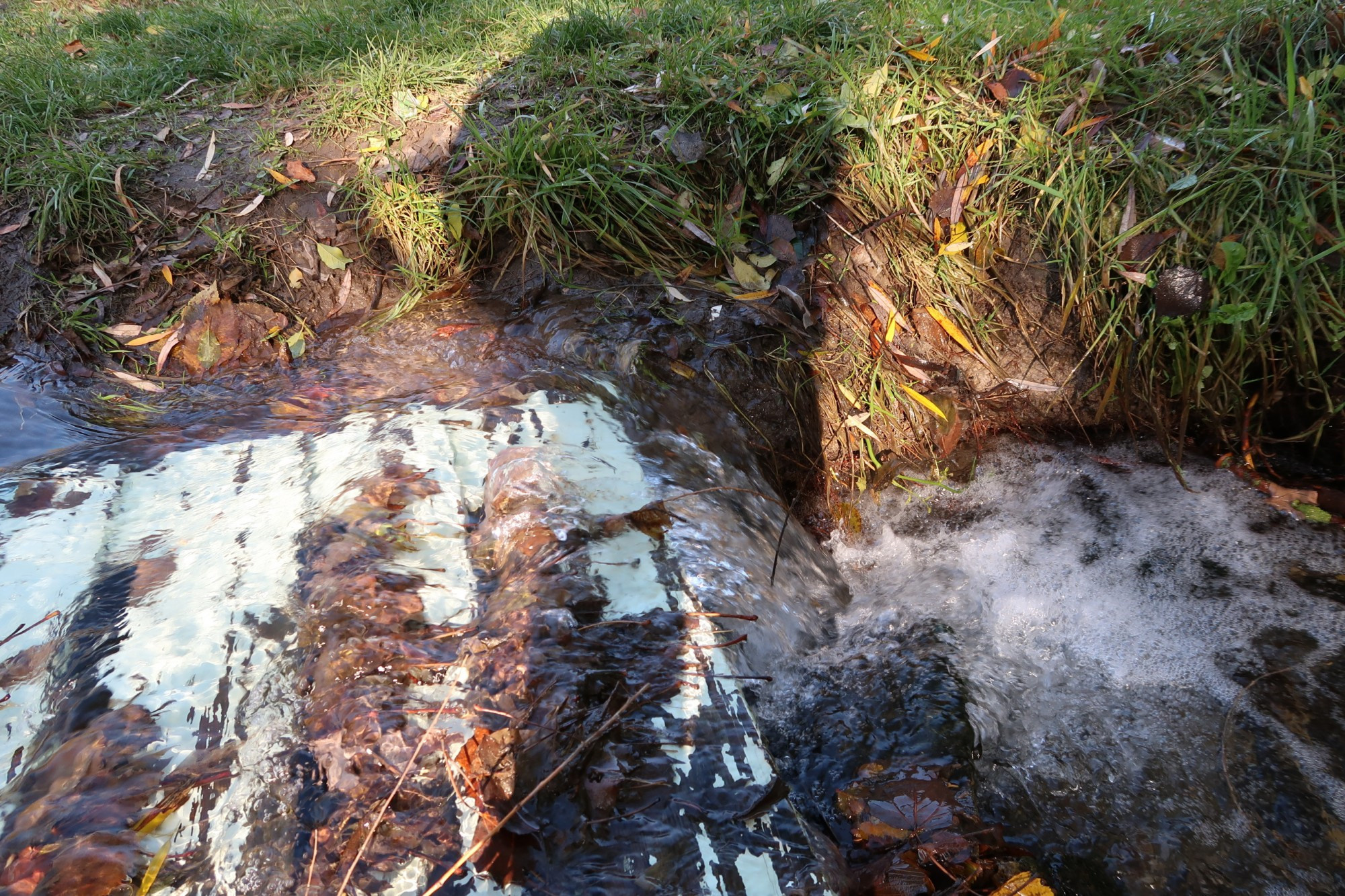 LiveJournal. Главная