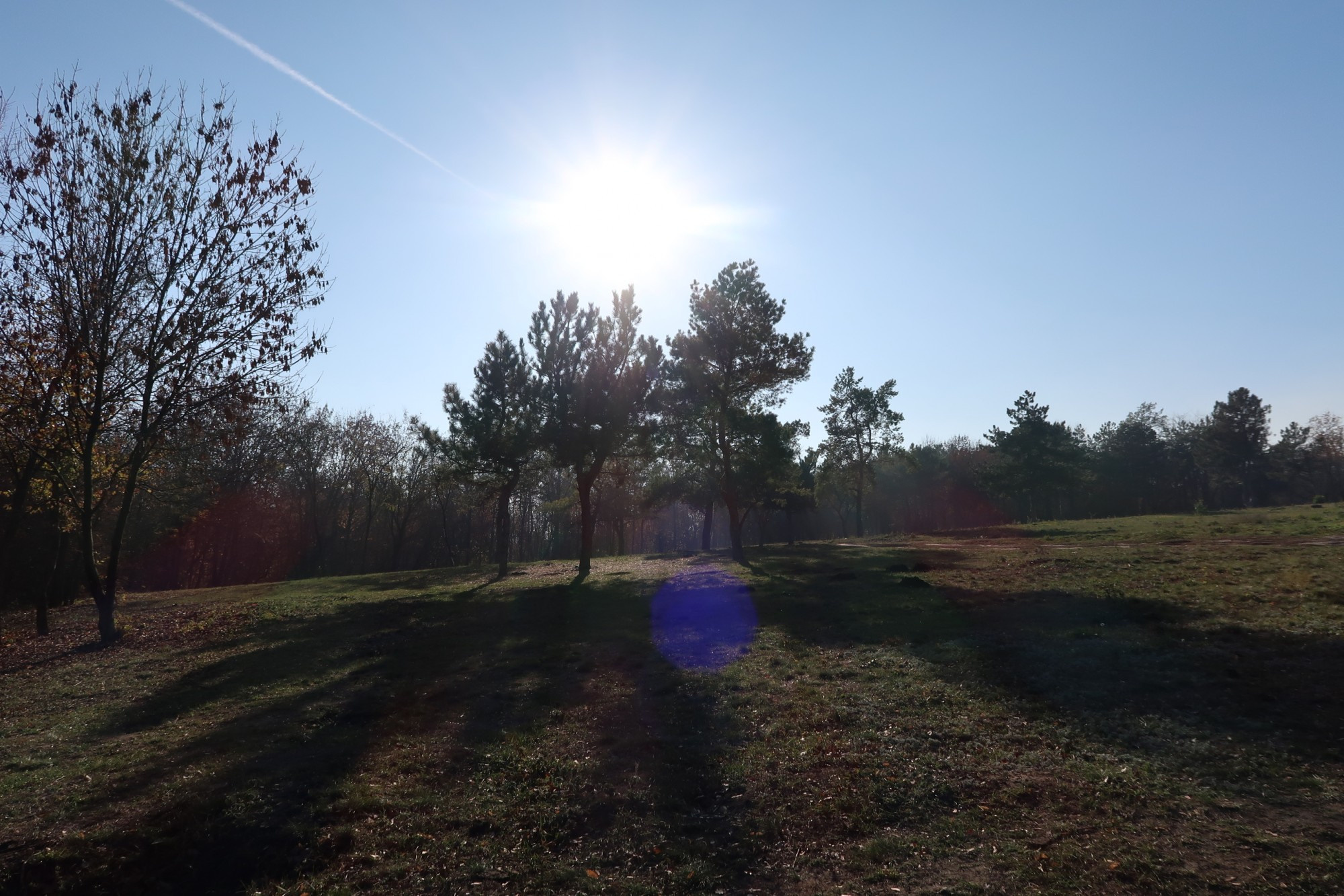 LiveJournal. Главная