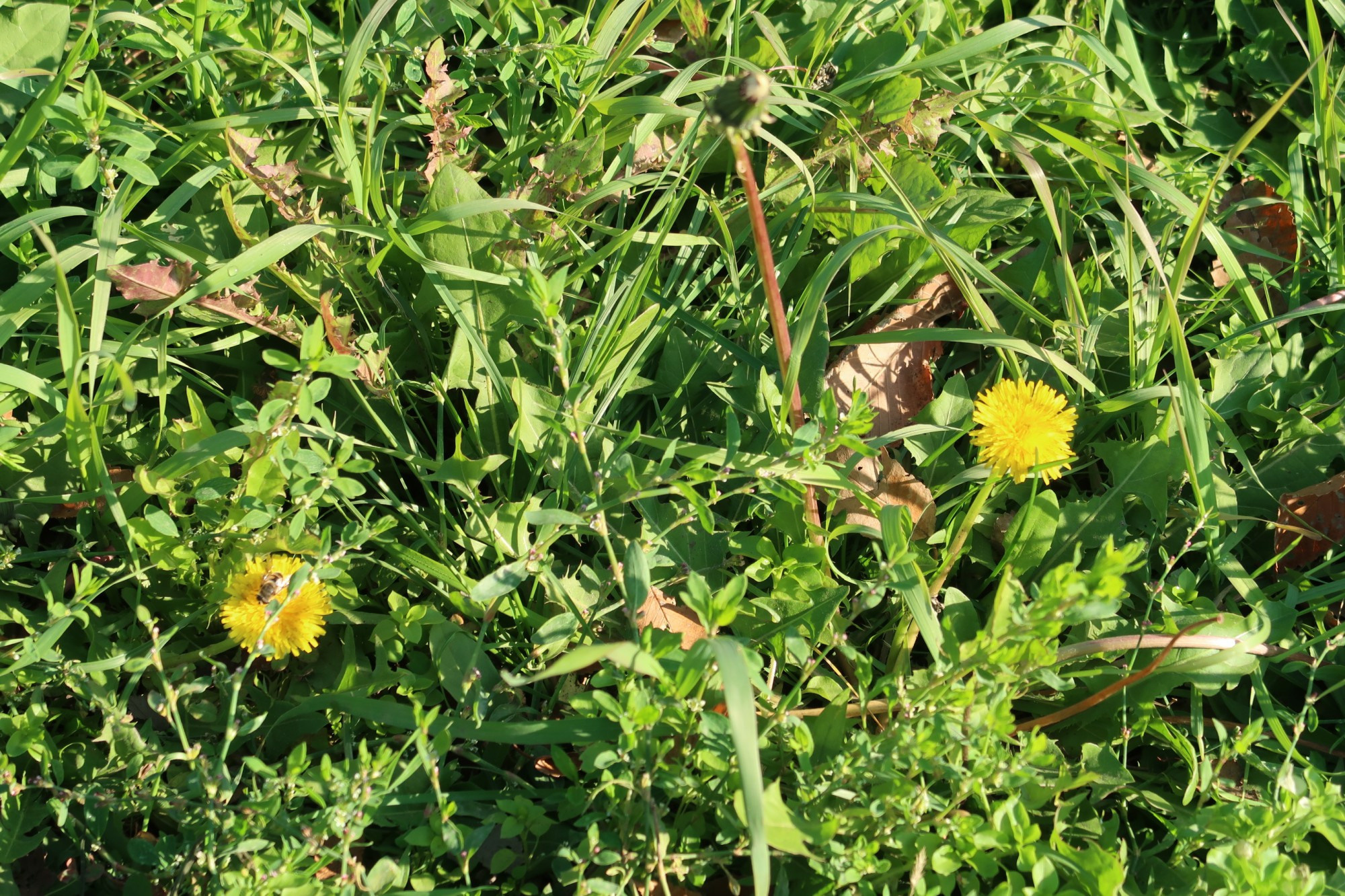 LiveJournal. Главная