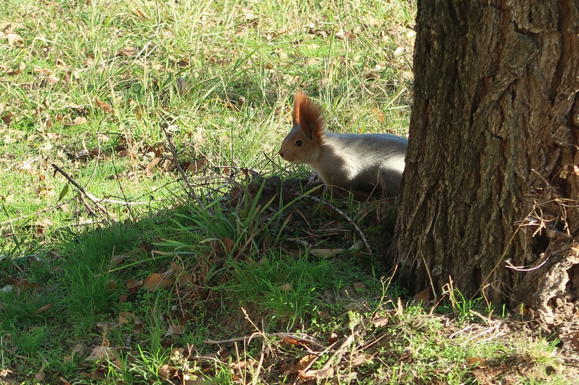 LiveJournal. Главная