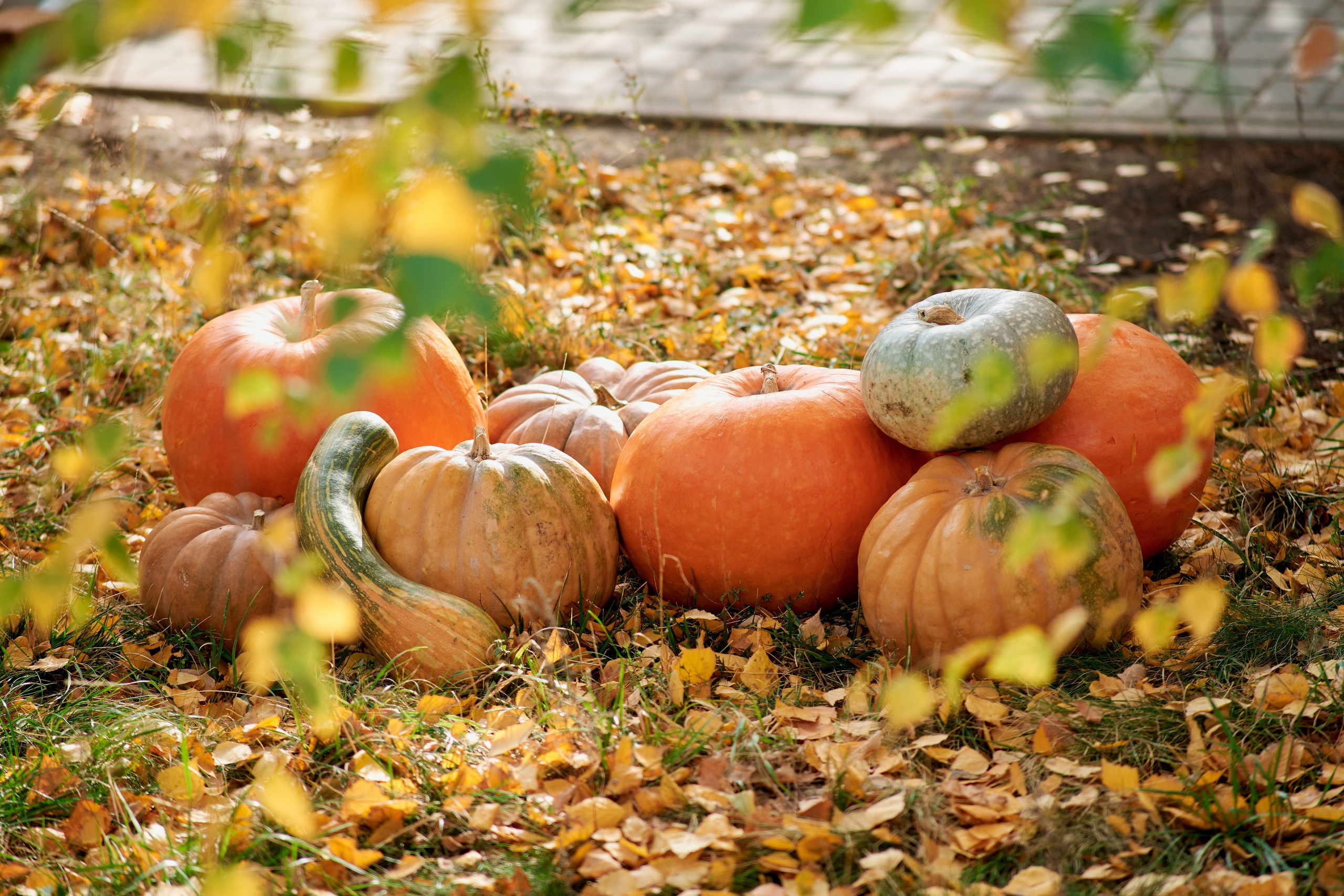 Отзывы. Фотограф Таганрог Анна Трайжон