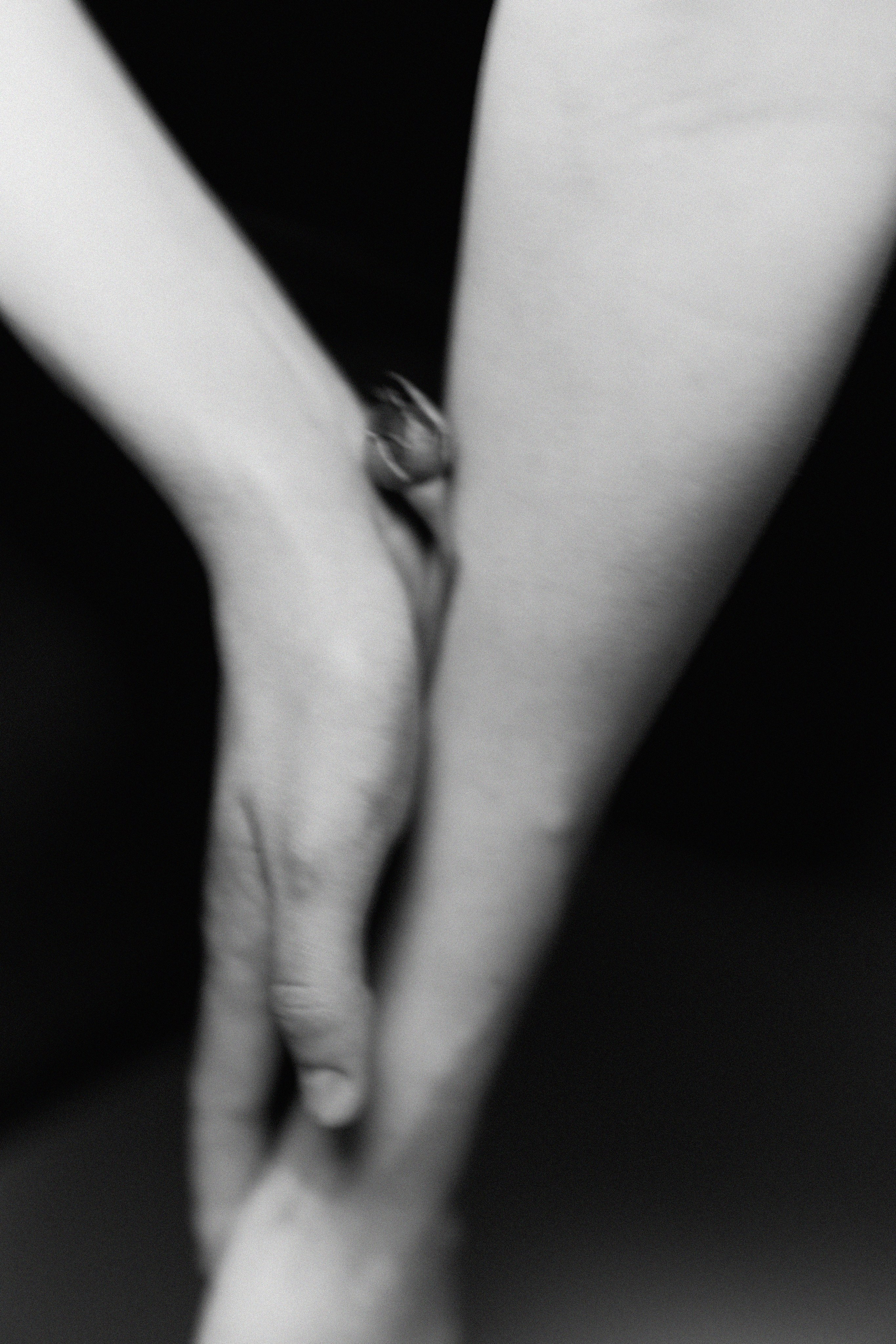 ◦ Алина ◦. Главная