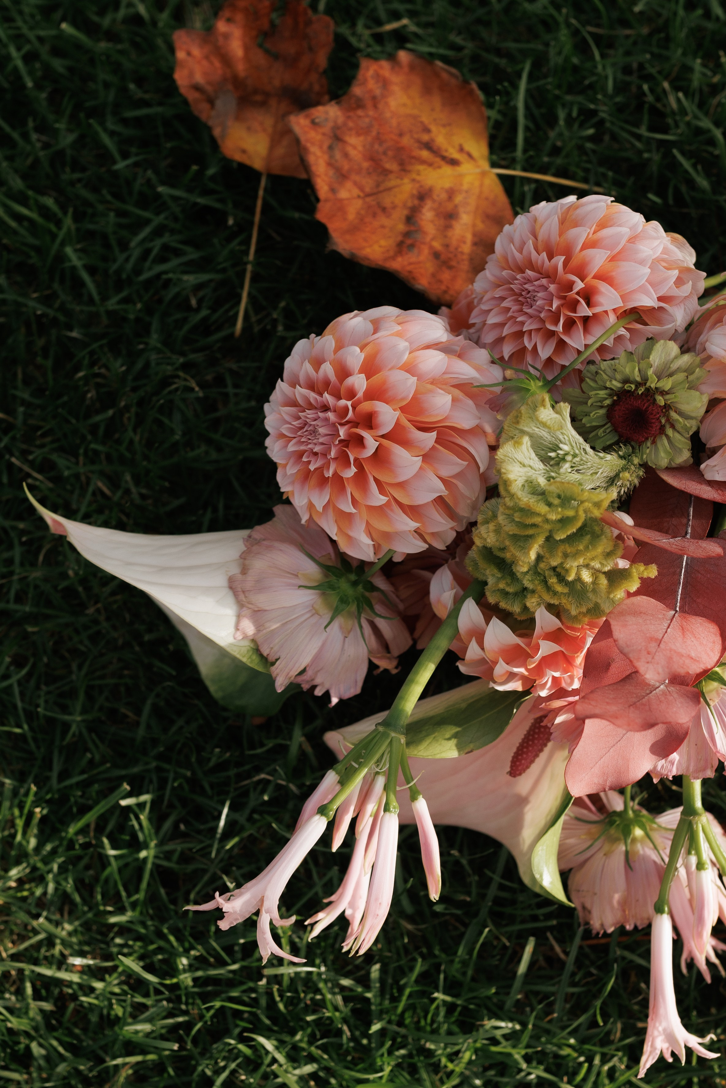 Just married. Свадебный фотограф Катерина Евст