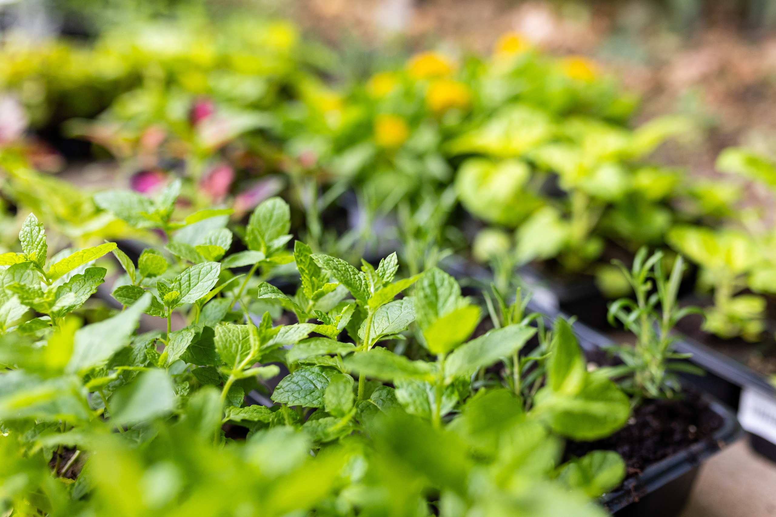 Мастер-класс от Аминосил. Александра Куликова фотограф, Москва