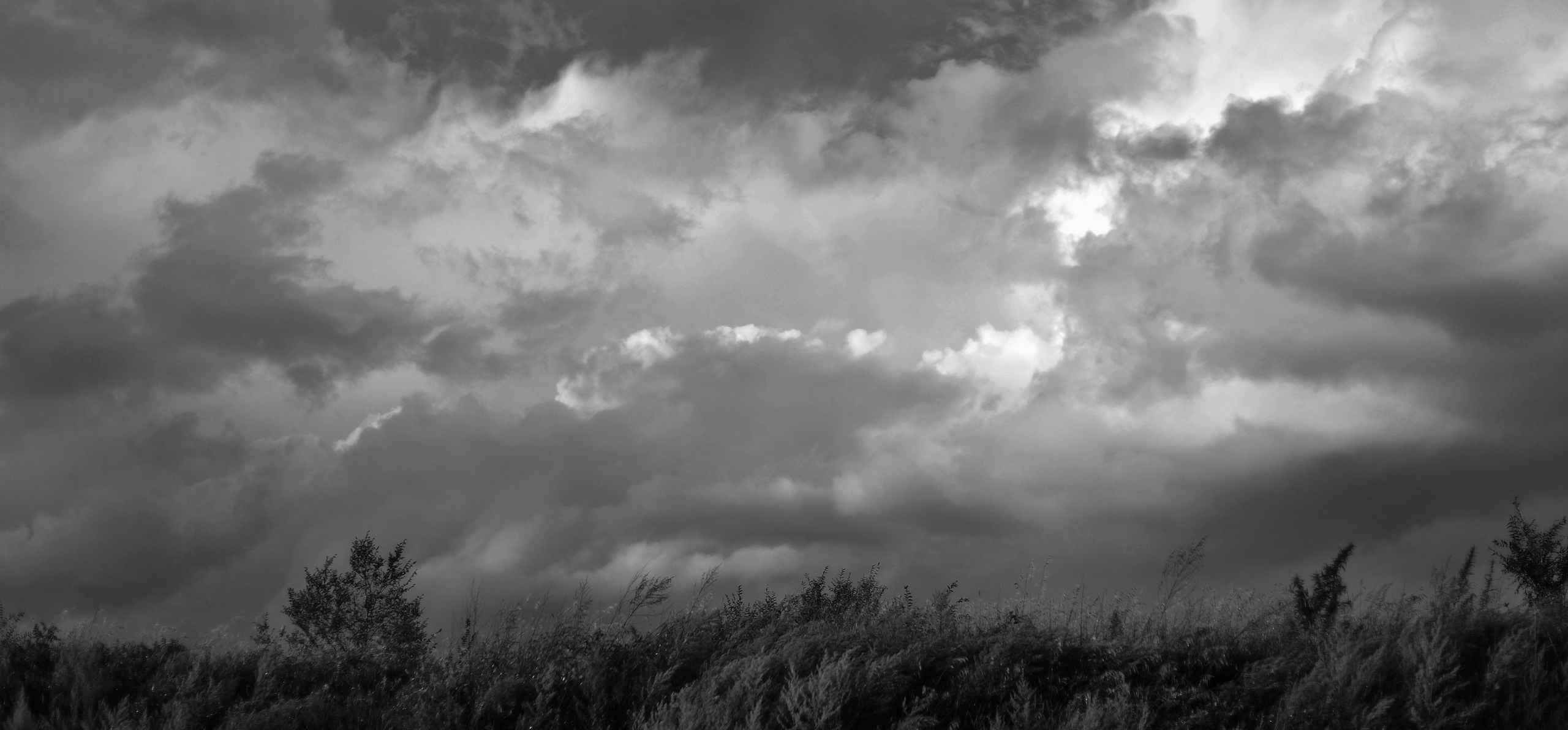 Хакасия черно-белый. Катерина Михеева