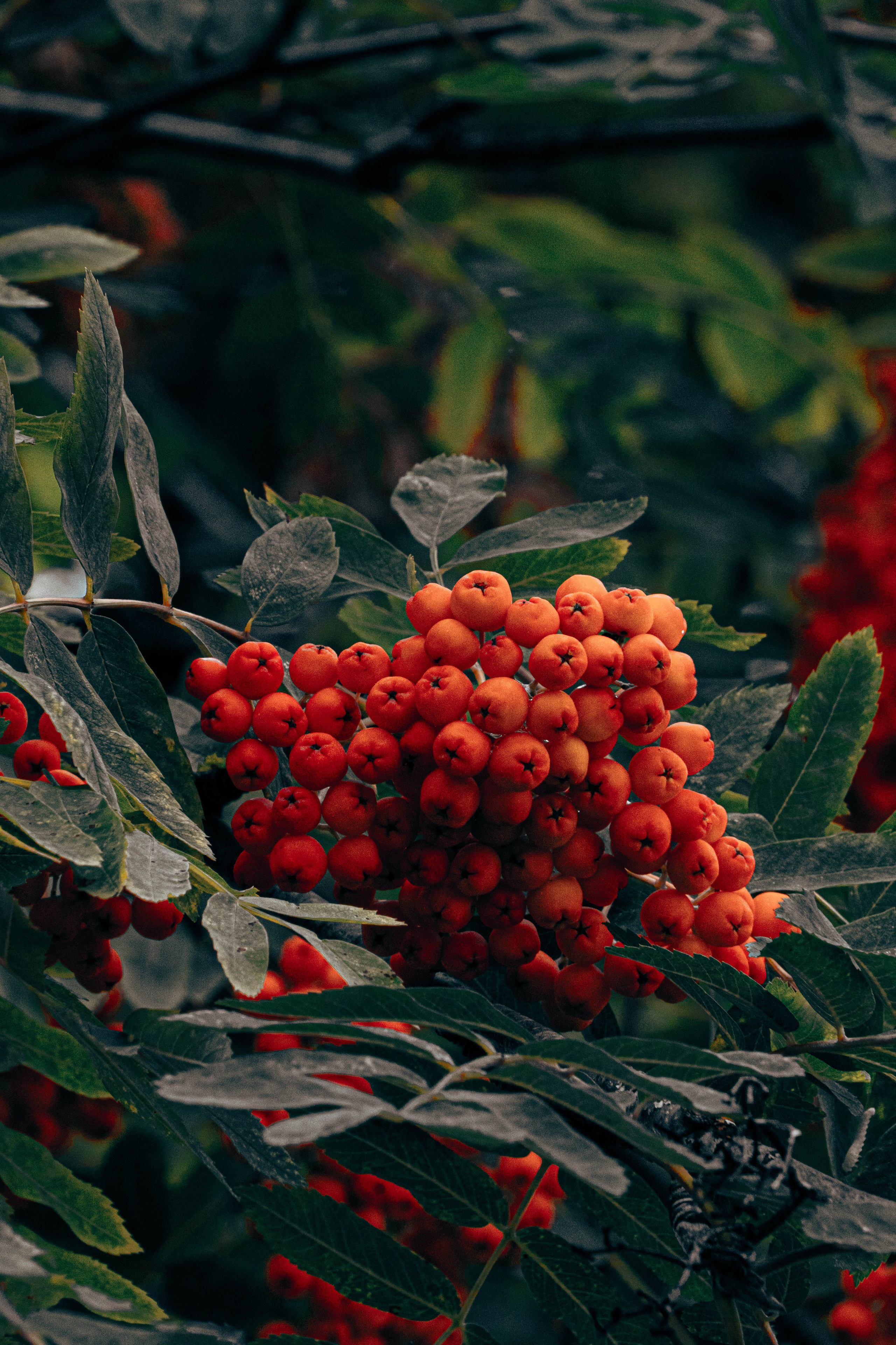 Архитектура и природа. Главная