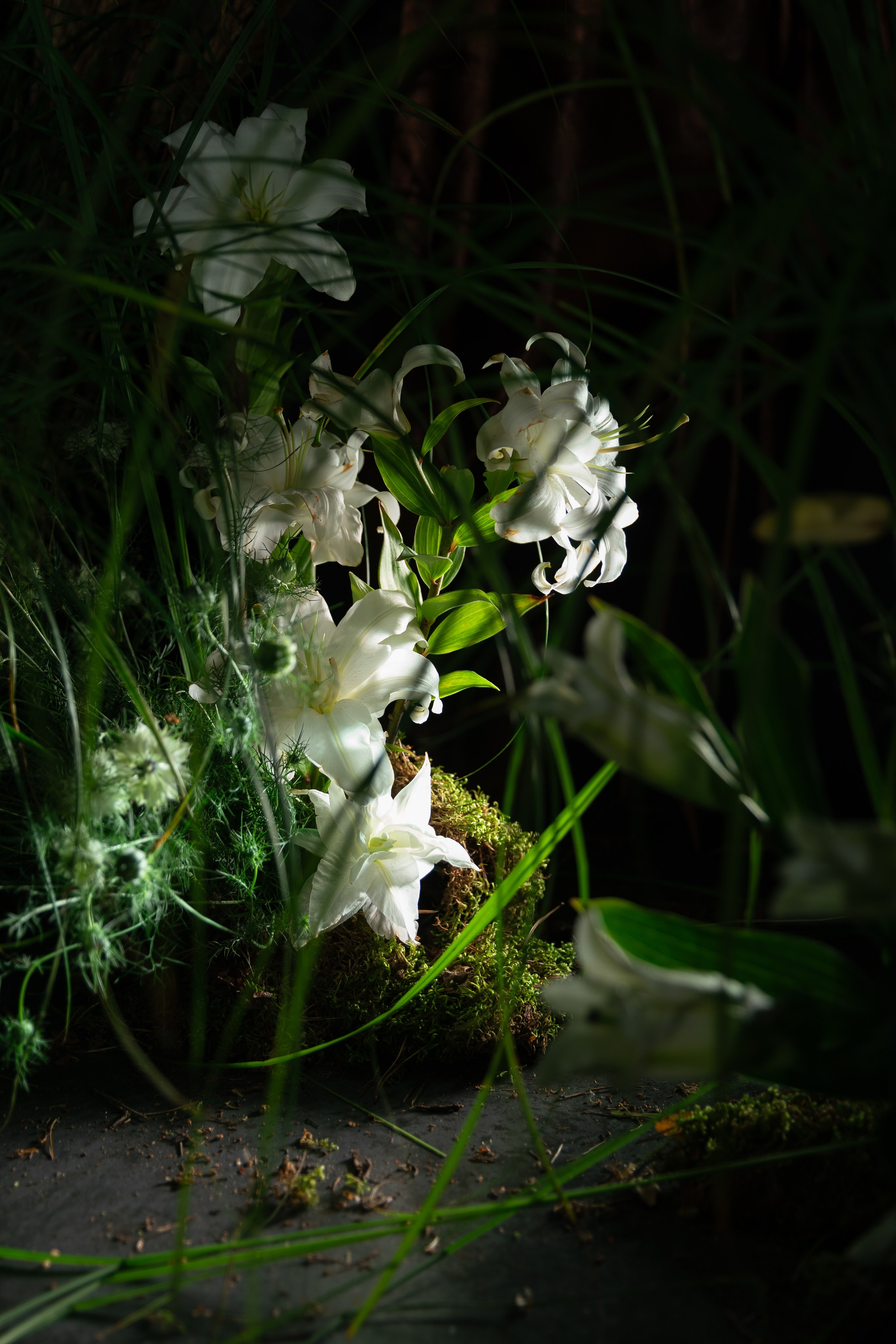 Forself. Wedding reels and photo