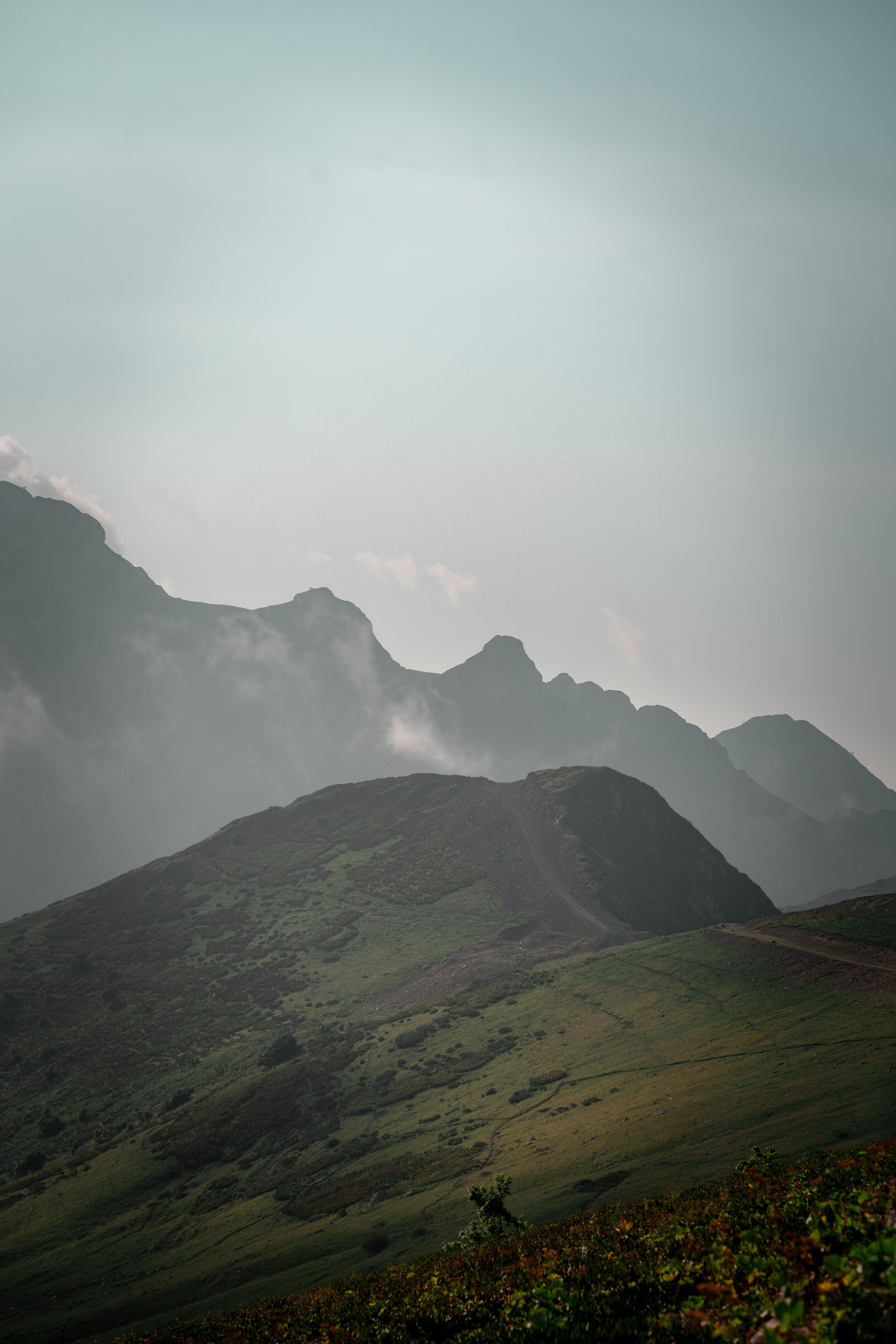 Сочи. Фотограф Александра Волкова | Волгоград