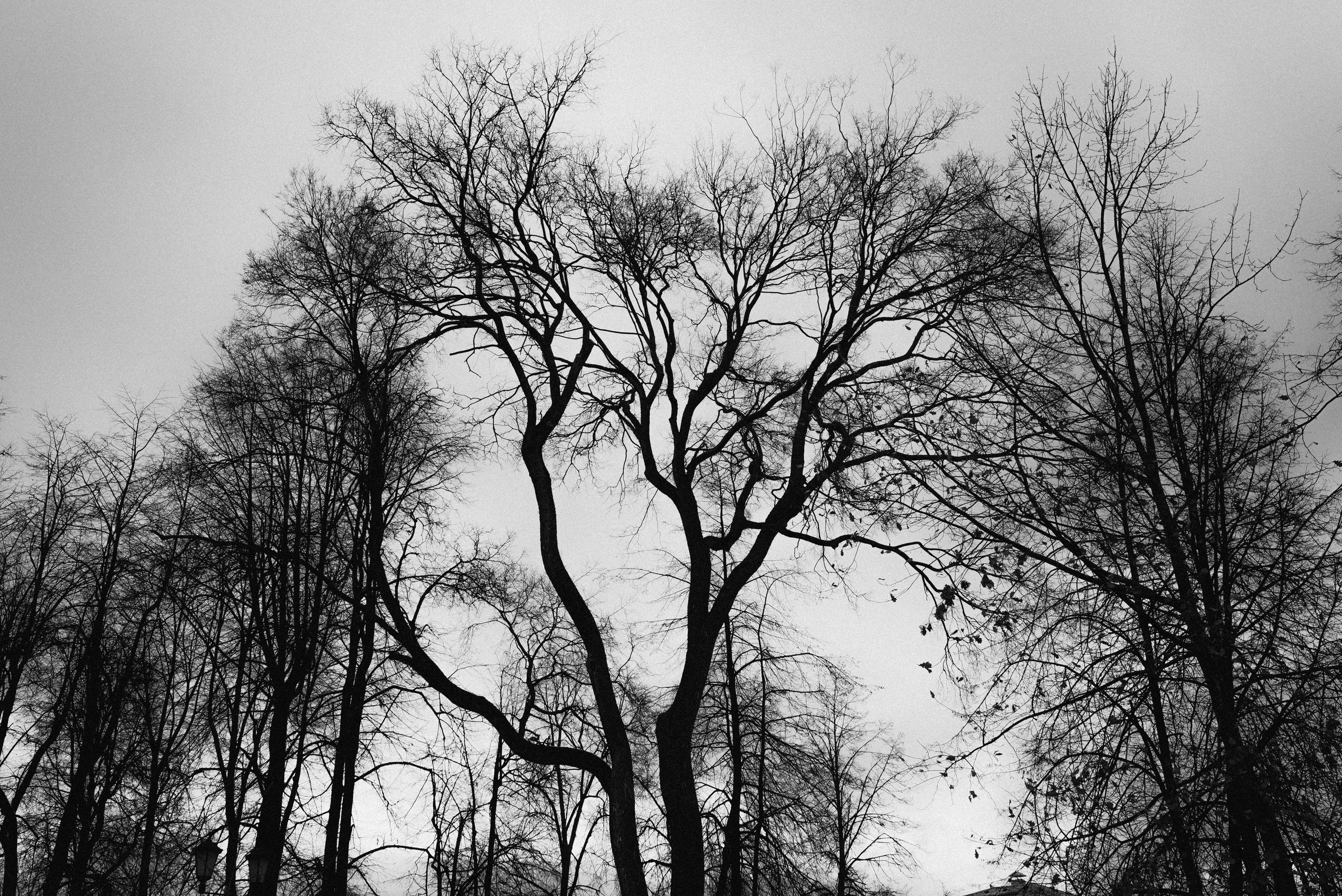 Проект #улицыгорода. Ярославль, площадь Челюскинцев. Документальный фотограф Илья Тихановский