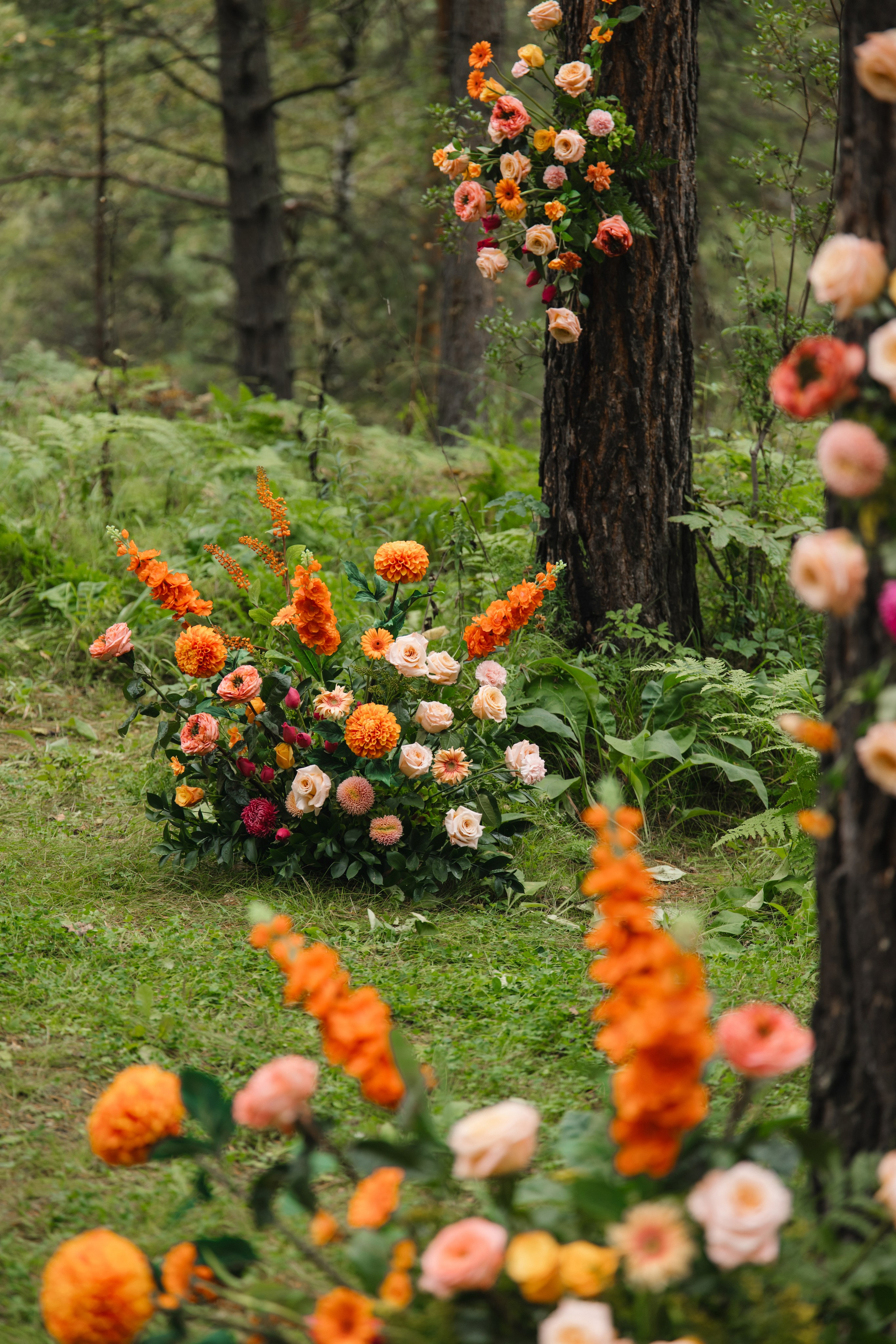 Данил и Даша. Организатор Романова Любовь