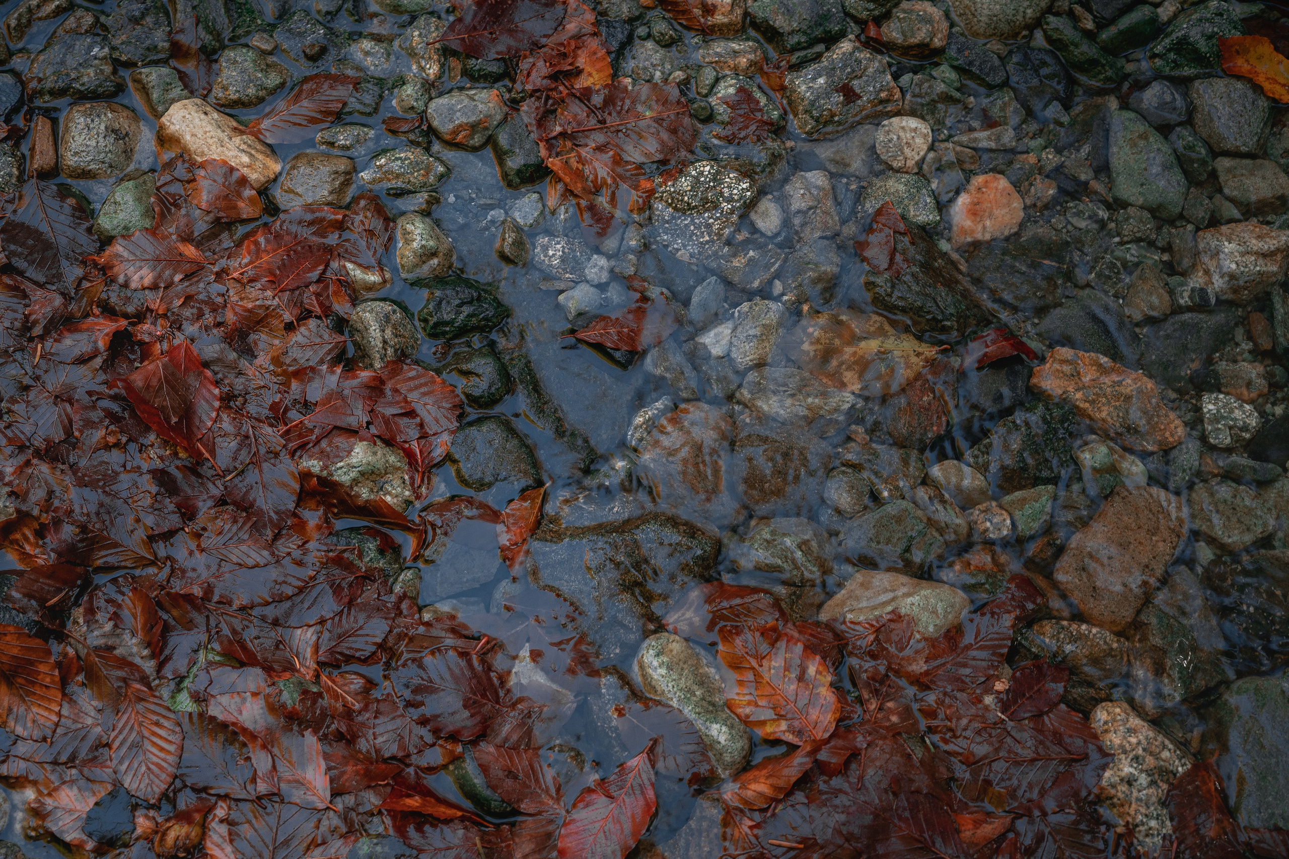 Вдоль по реке Домбай-Ульген. Юля Дэй • Фотограф, Санкт-Петербург