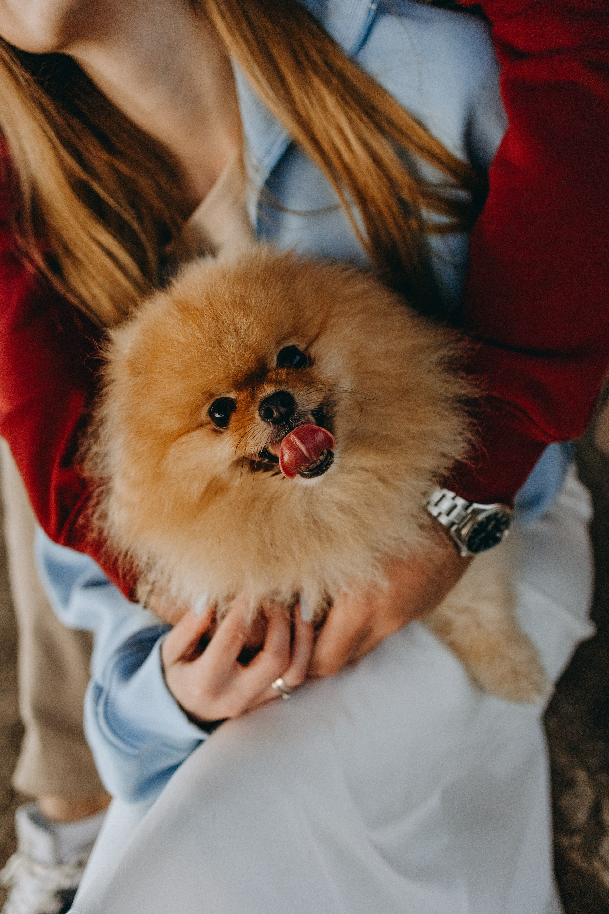 Стив и его семья. Фотограф — Анималист | Санкт-Петербург