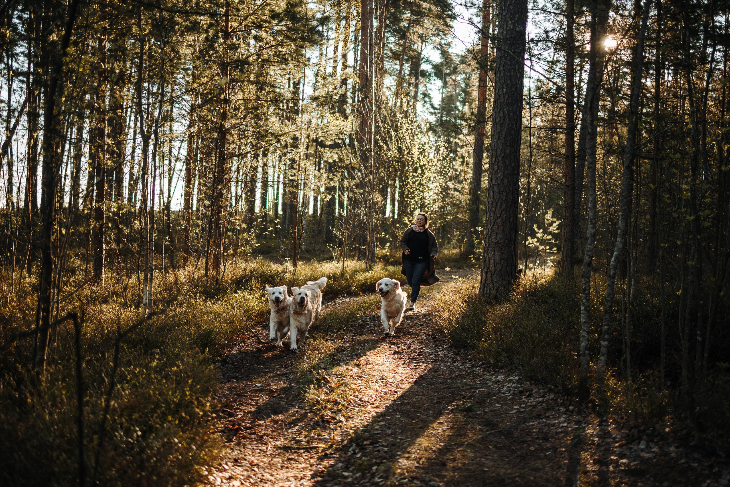 Катя и ее девочки. Фотограф — Анималист | Санкт-Петербург