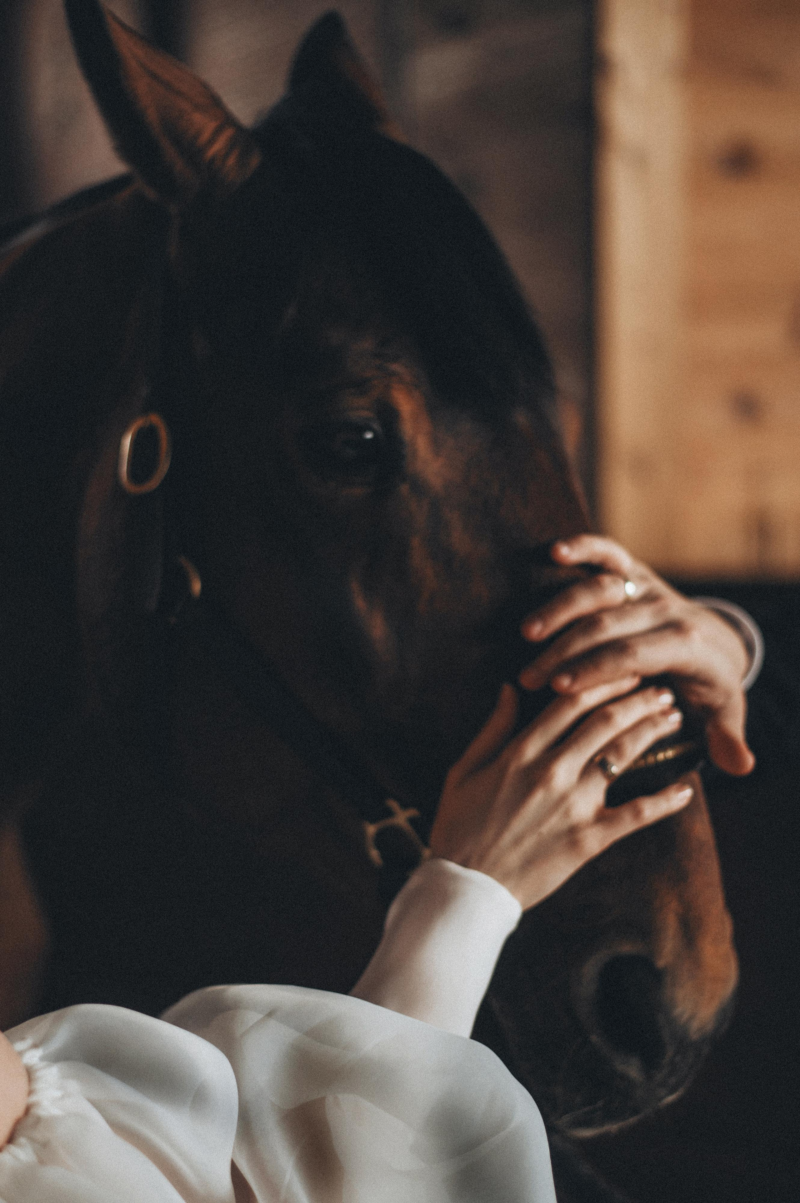 Алексей и Наталья. Фотограф в Саратове Анастасия Гладина