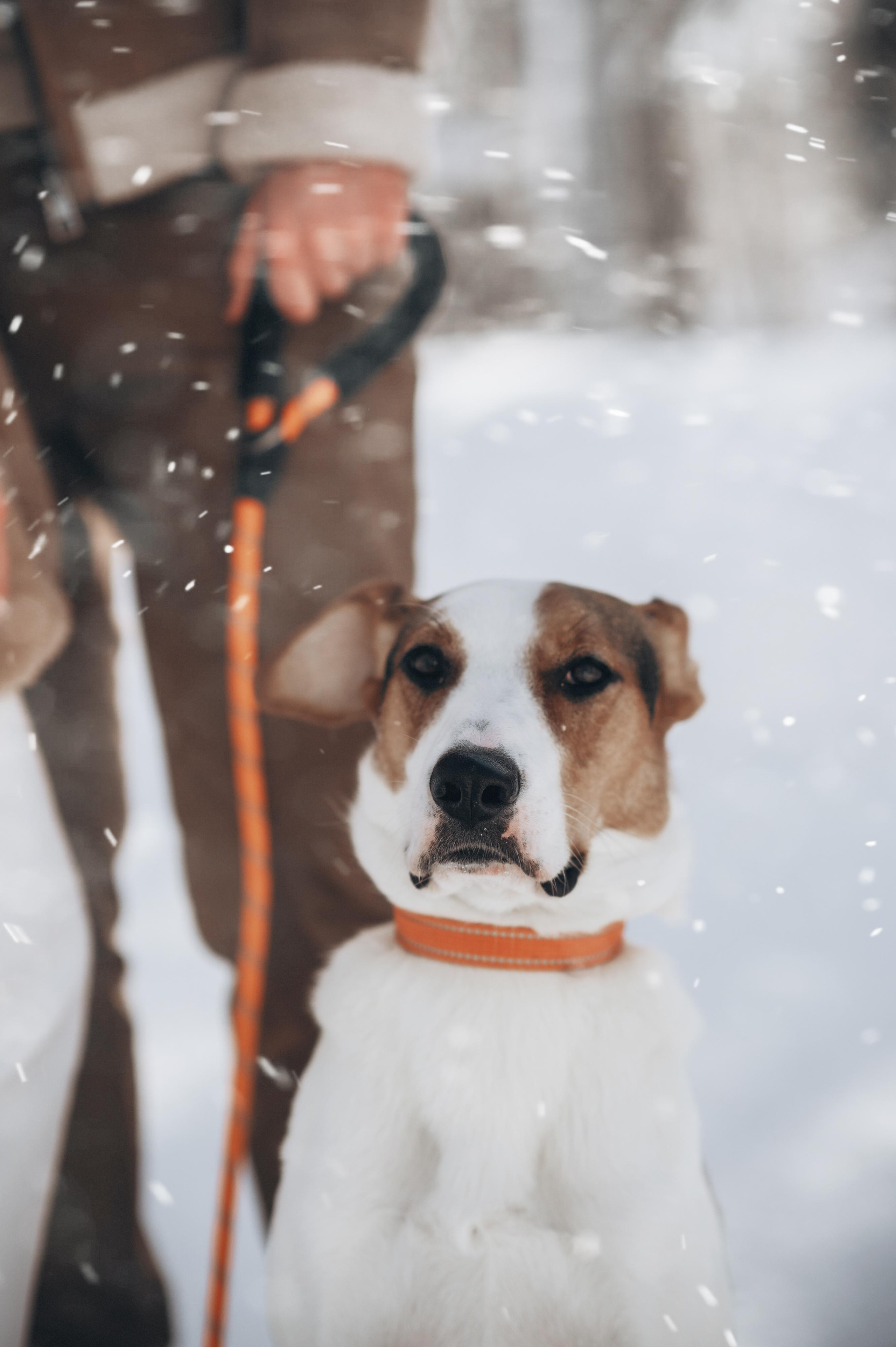 Зимняя лавстори. Фотограф в Саратове Анастасия Гладина