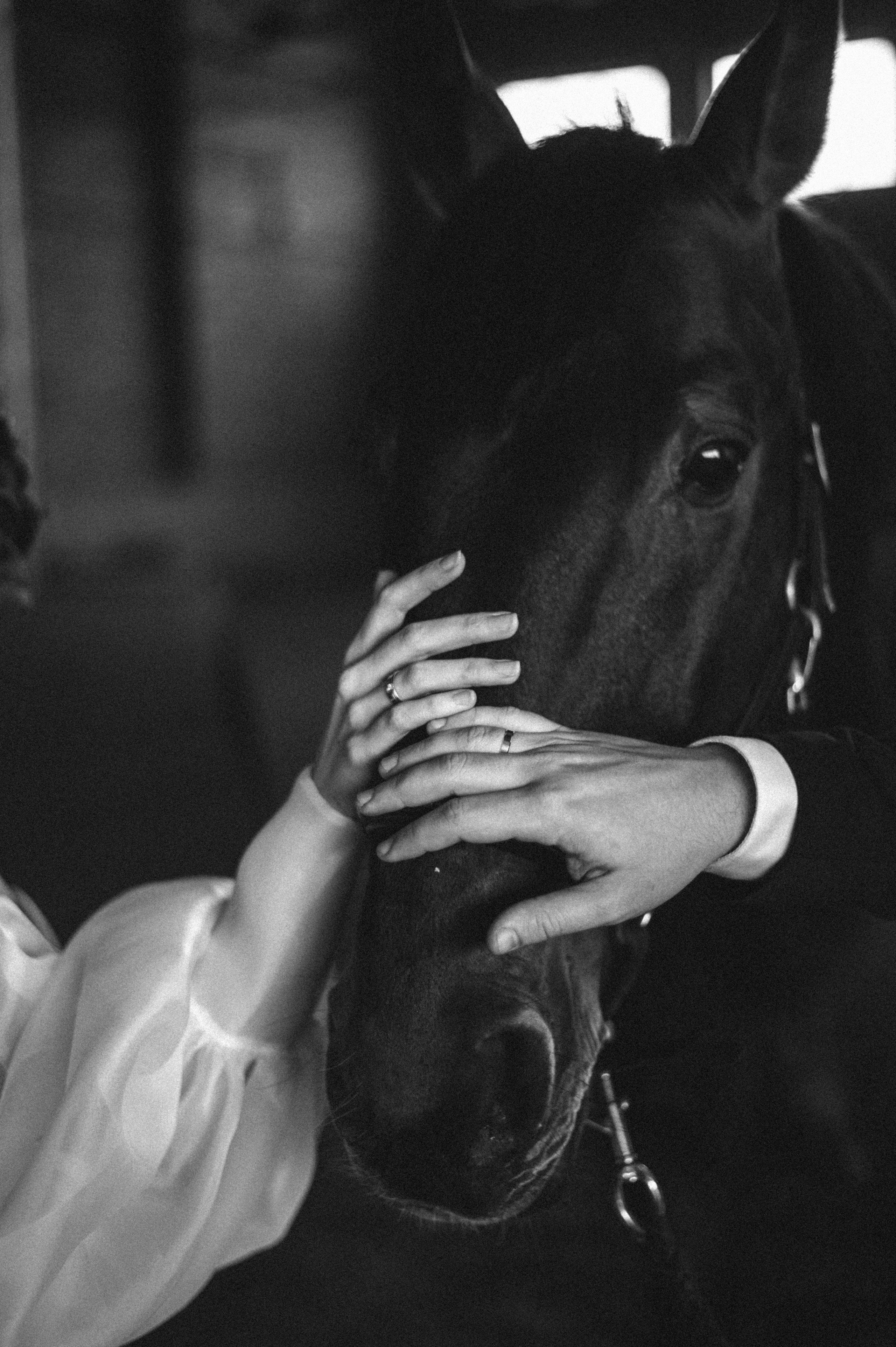 Алексей и Наталья. Фотограф в Саратове Анастасия Гладина