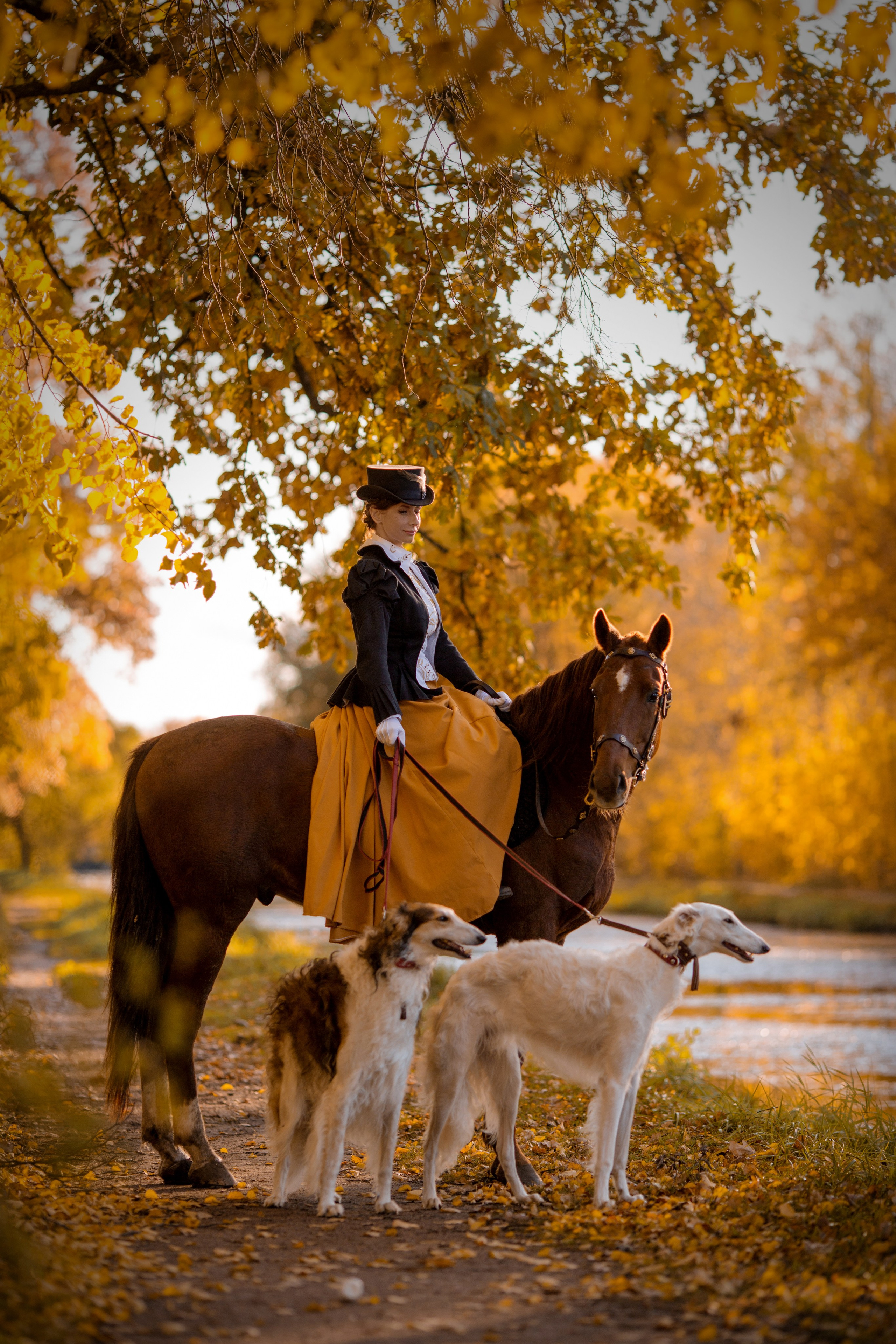 Фотосессия в историческом стиле с борзыми