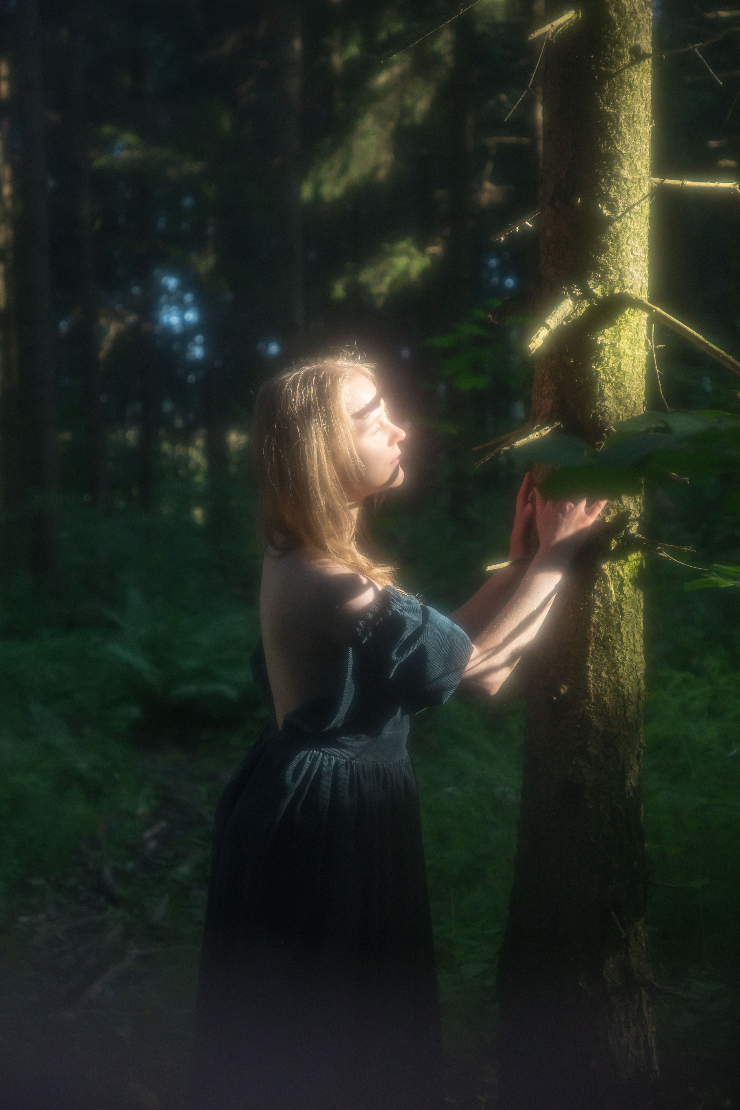 Рассветная в лесу. Юлия Башкатова, сказочный фотограф, Москва