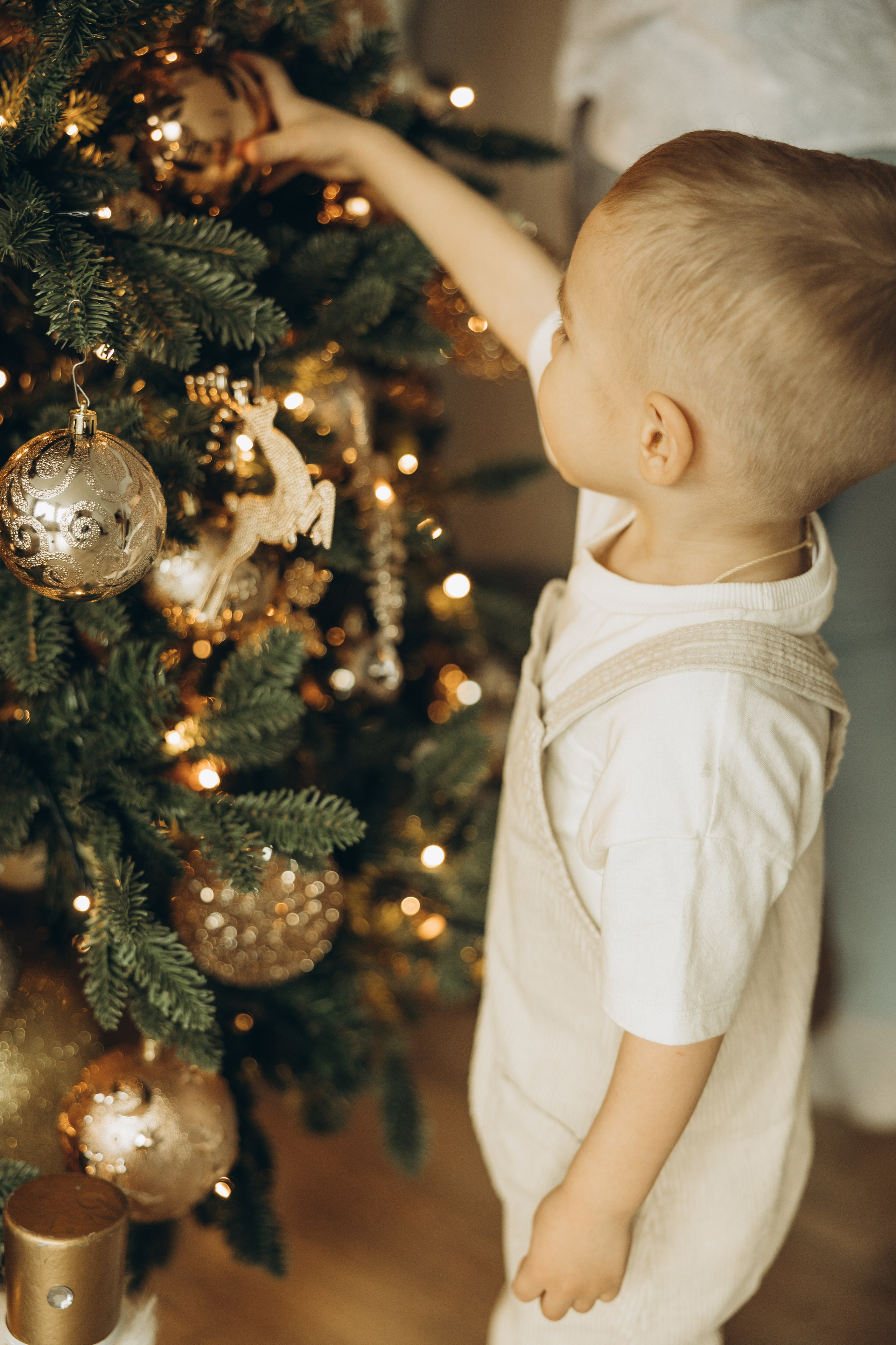 Кристина, Александр и Лев. Семейный фотограф в Москве Виктория Ястребинская