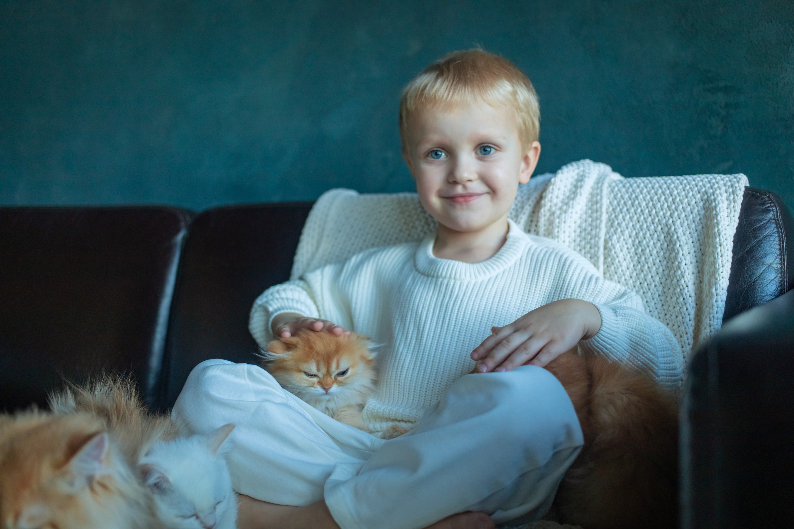 Детская фотосессия с котятками в студии в СПБ