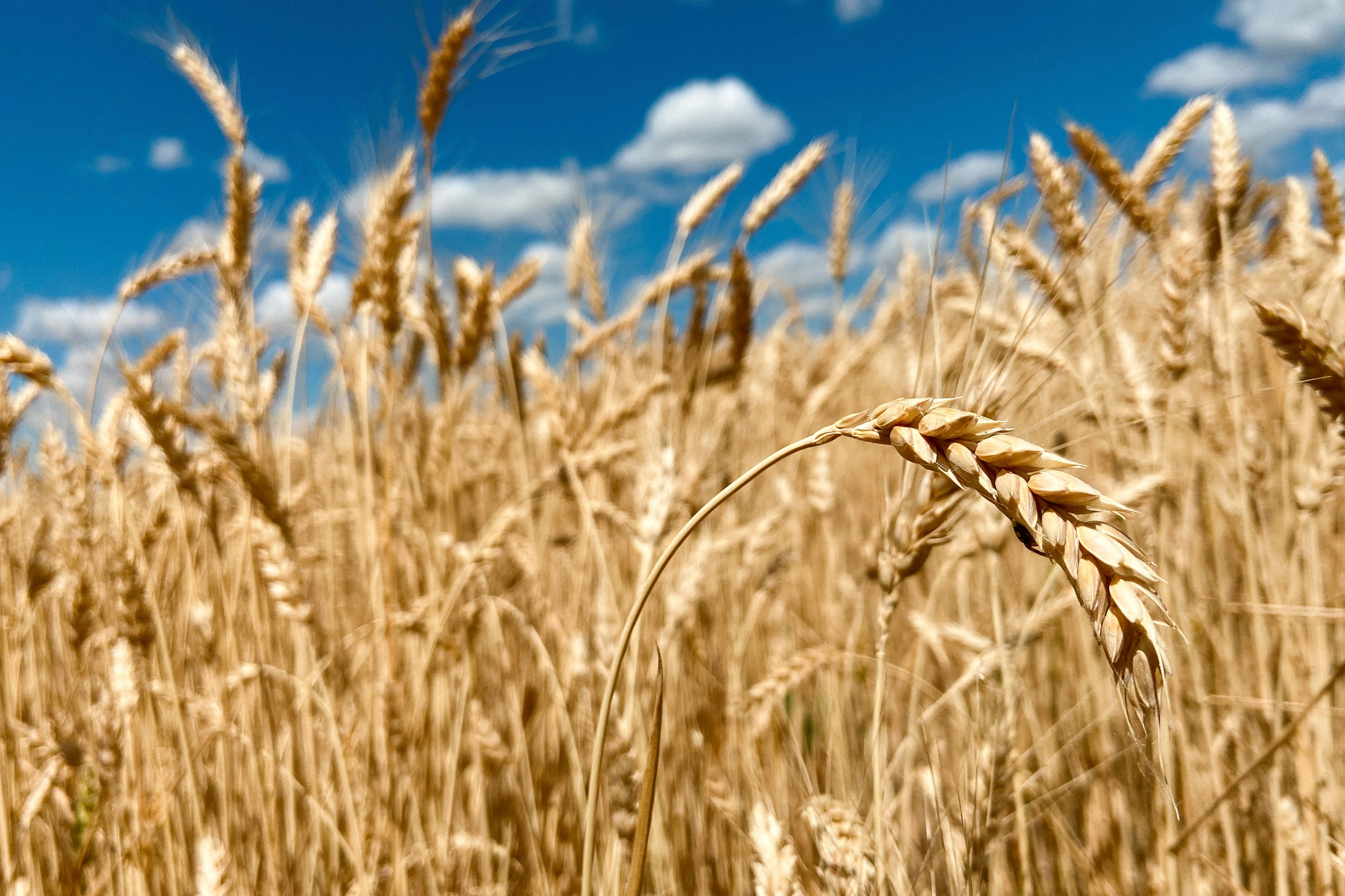 Природа. Команда фотографов Кристины Ивановой