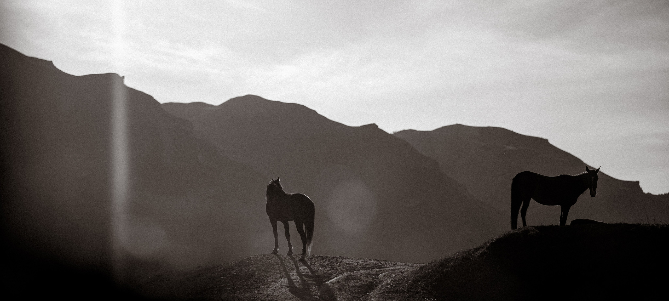 Никита & Екатерина. Свадебный и семейный фотограф в Краснодаре Павел Мельников