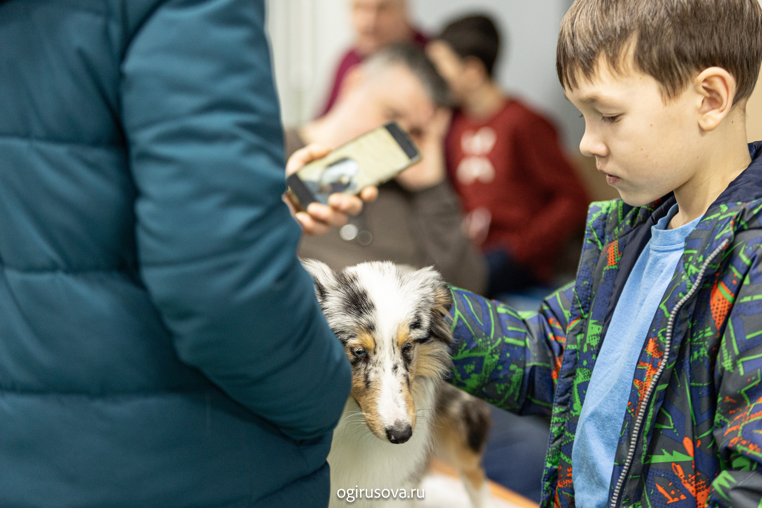 РОО КЛЖ «Олимп"+"Империя"+"Виктория».Выставка собак. Фотограф Ольга Гирусова «Пантерочка» Москва