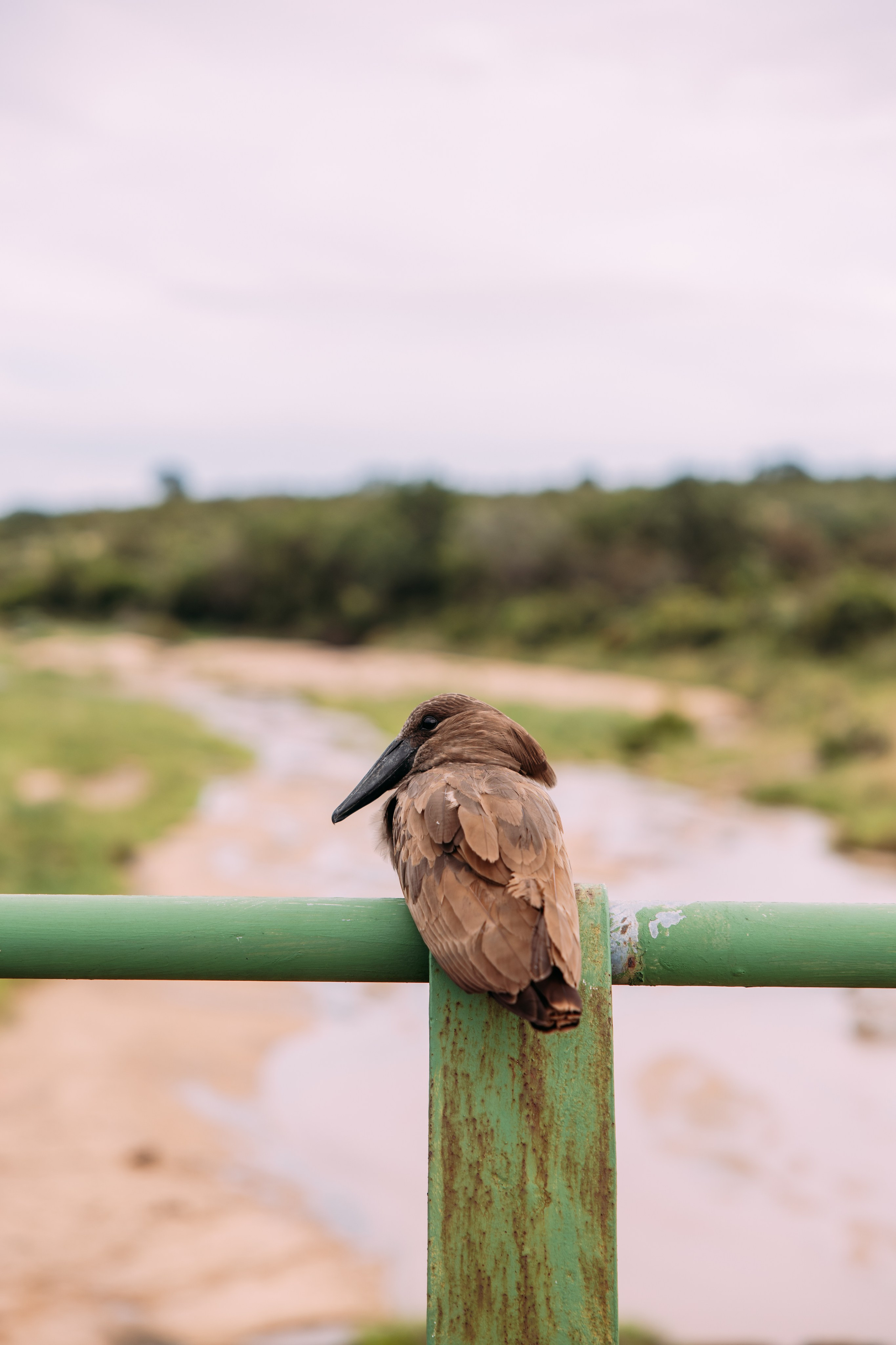 ФОТО ТУРЫ ПО МИРУ. Фотограф Марина Аблаева-Кожедуб