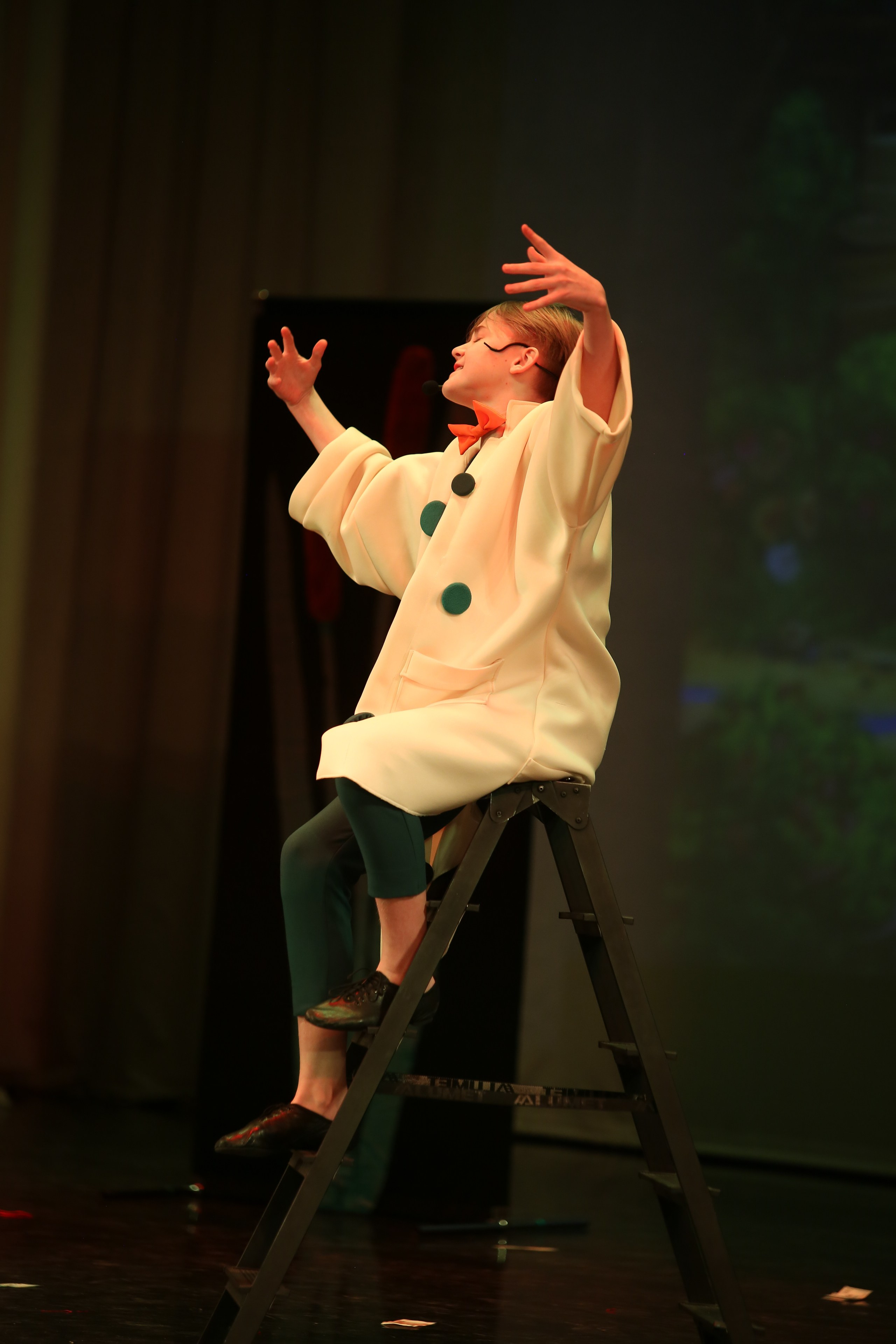 ТС ФАНТАЗИЯ — БЕНЕФИС 25 ЛЕТ. Профессиональный фотограф в Мценске и Орловской области