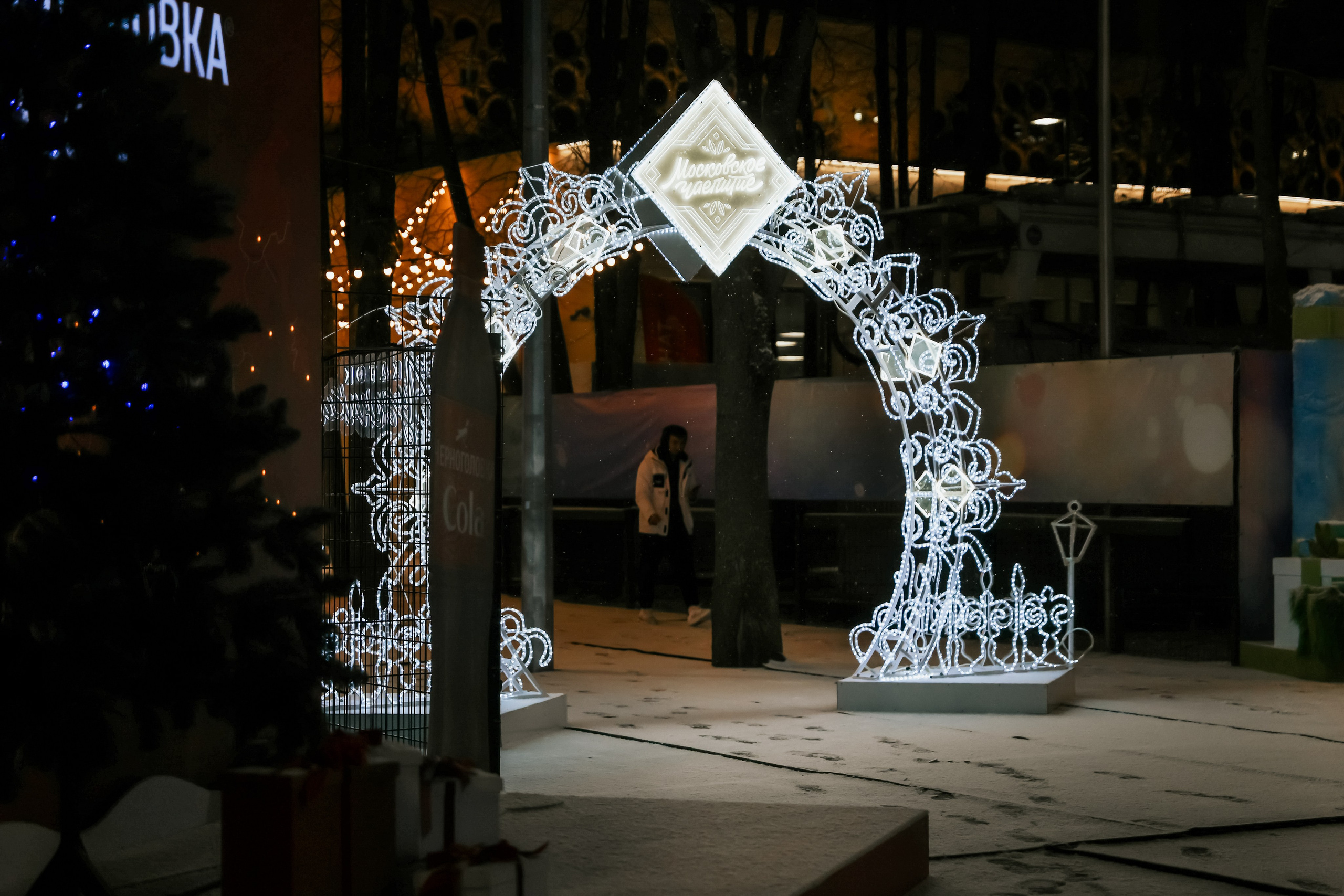 Ледовое Шоу Лужники. Фотограф и видеограф Анна Домашенко