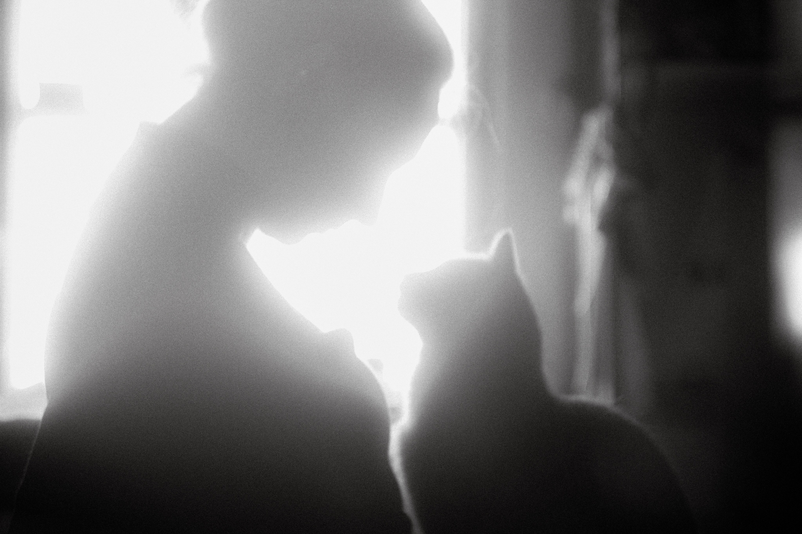 ERICA. Фотограф YODLUCE