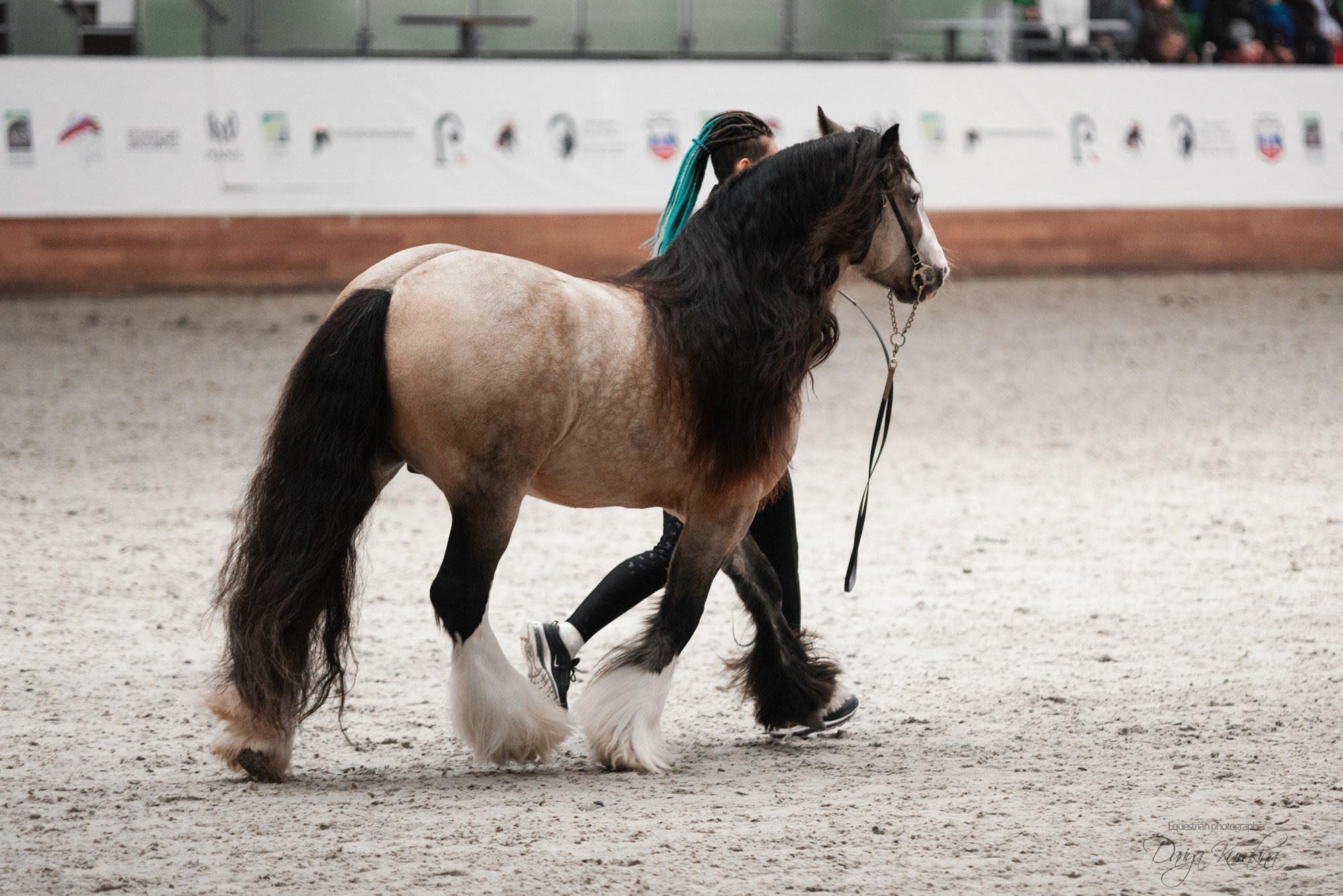 8-я международная выставка Конная Россия. Конный фотограф Куракина Дарья • Фотосессии с лошадьми