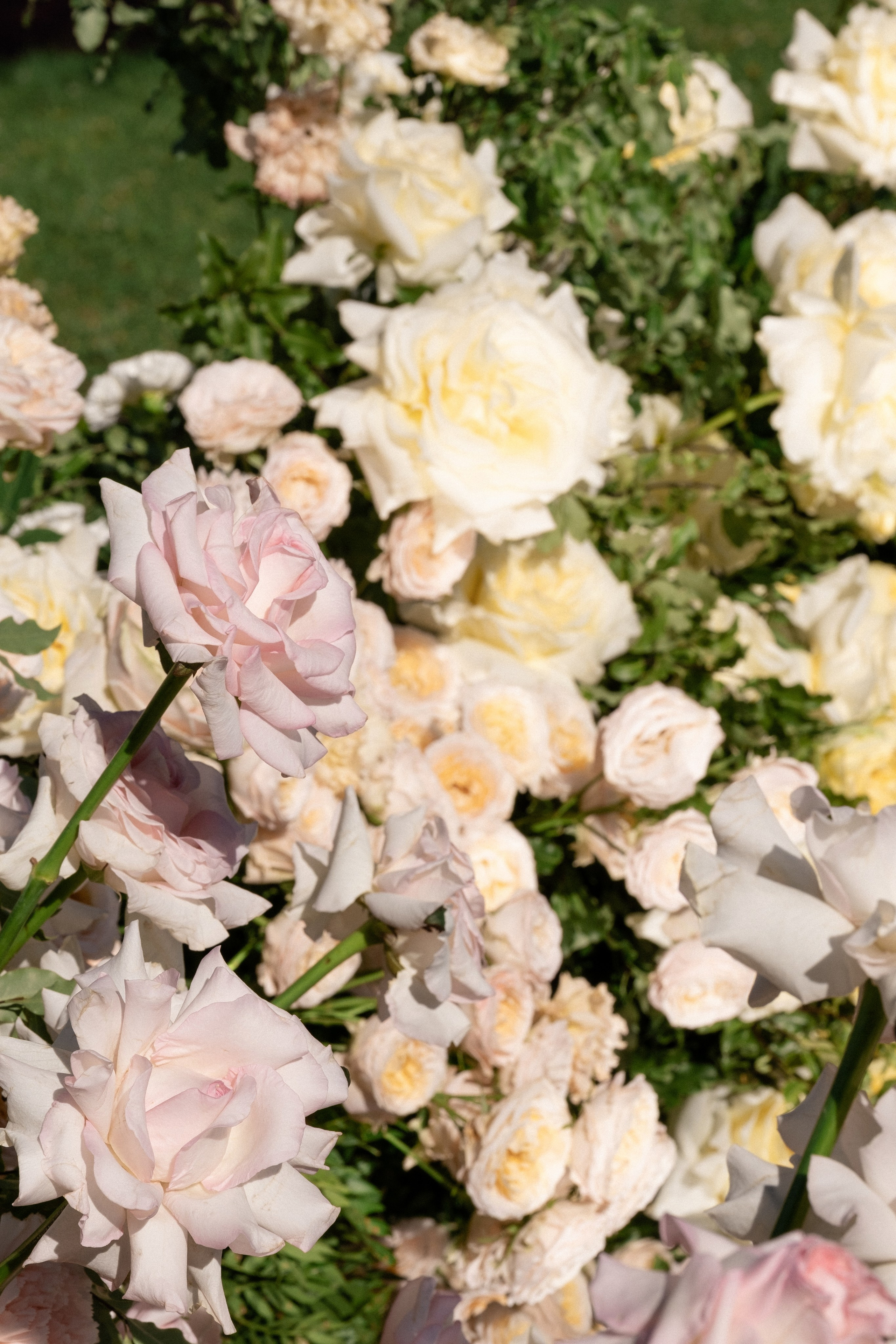 Счастливые часов не наблюдают. Свадебный и семейный фотограф в Санкт-Петербурге