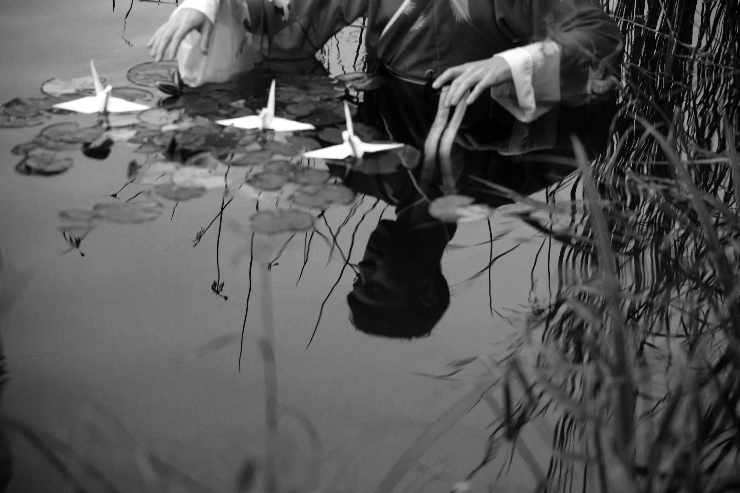 На фото руки мужчины поднятые над кувшинками в реке.