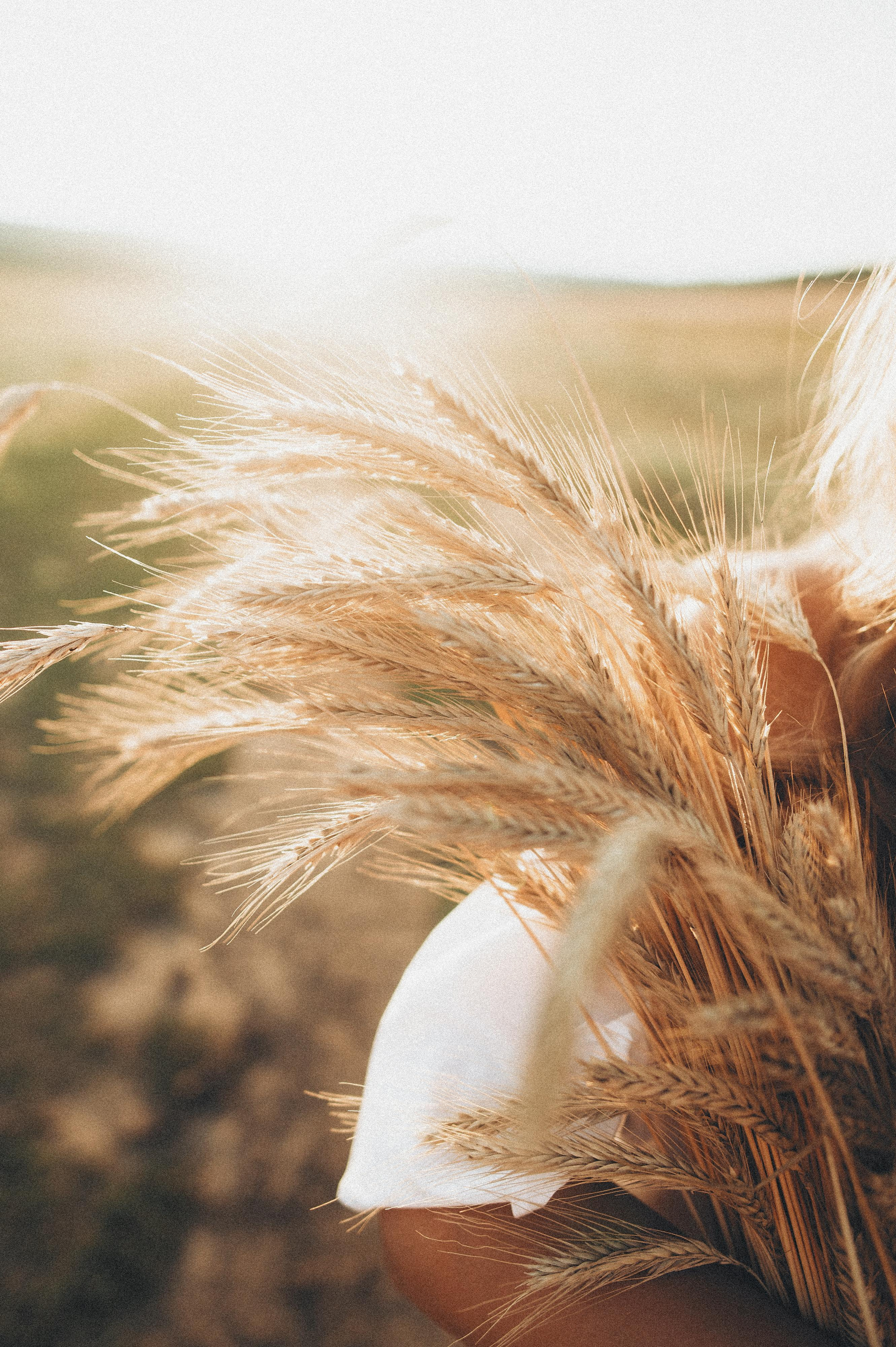 Летний Закат. Фотограф в Саратове Анастасия Гладина