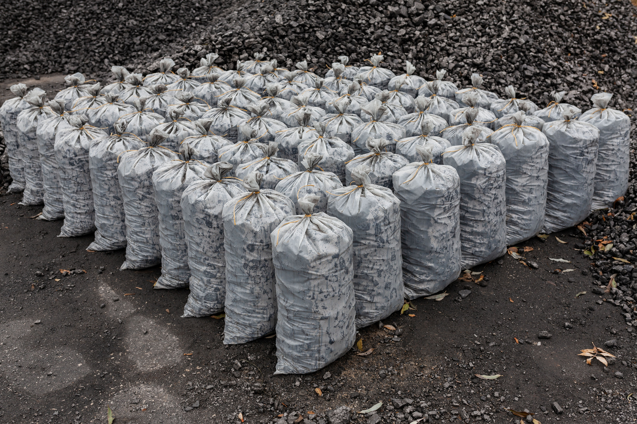 Уголь =). Χελιδόνι Семейный и церковный фотограф в Крыму и Симферополе Валерия Г