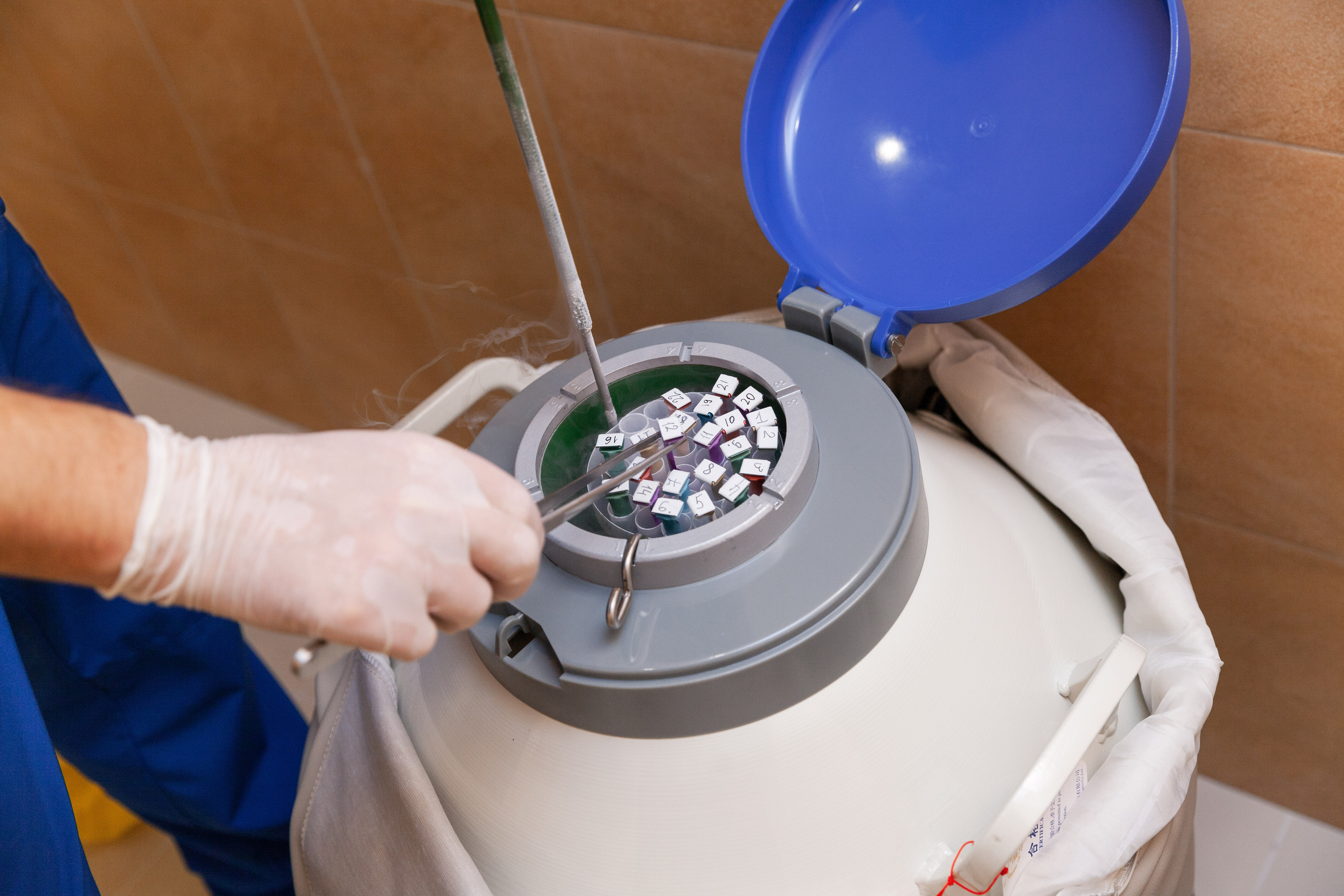 Медицина | Современные клиники. Χελιδόνι Семейный и церковный фотограф в Крыму и Симферополе Валерия Г