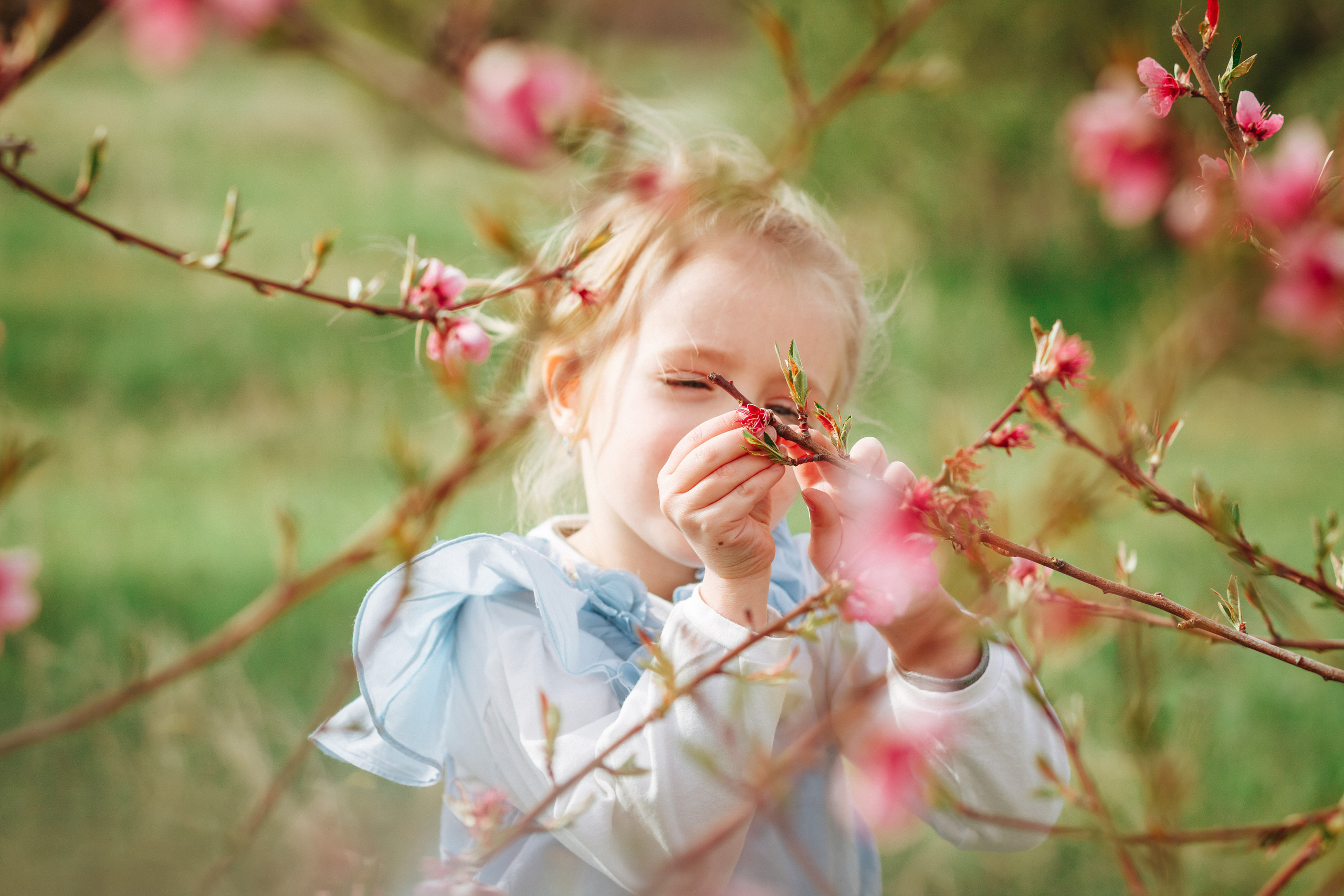 Пикник в персиковом саду. Χελιδόνι Семейный и церковный фотограф в Крыму и Симферополе Валерия Г
