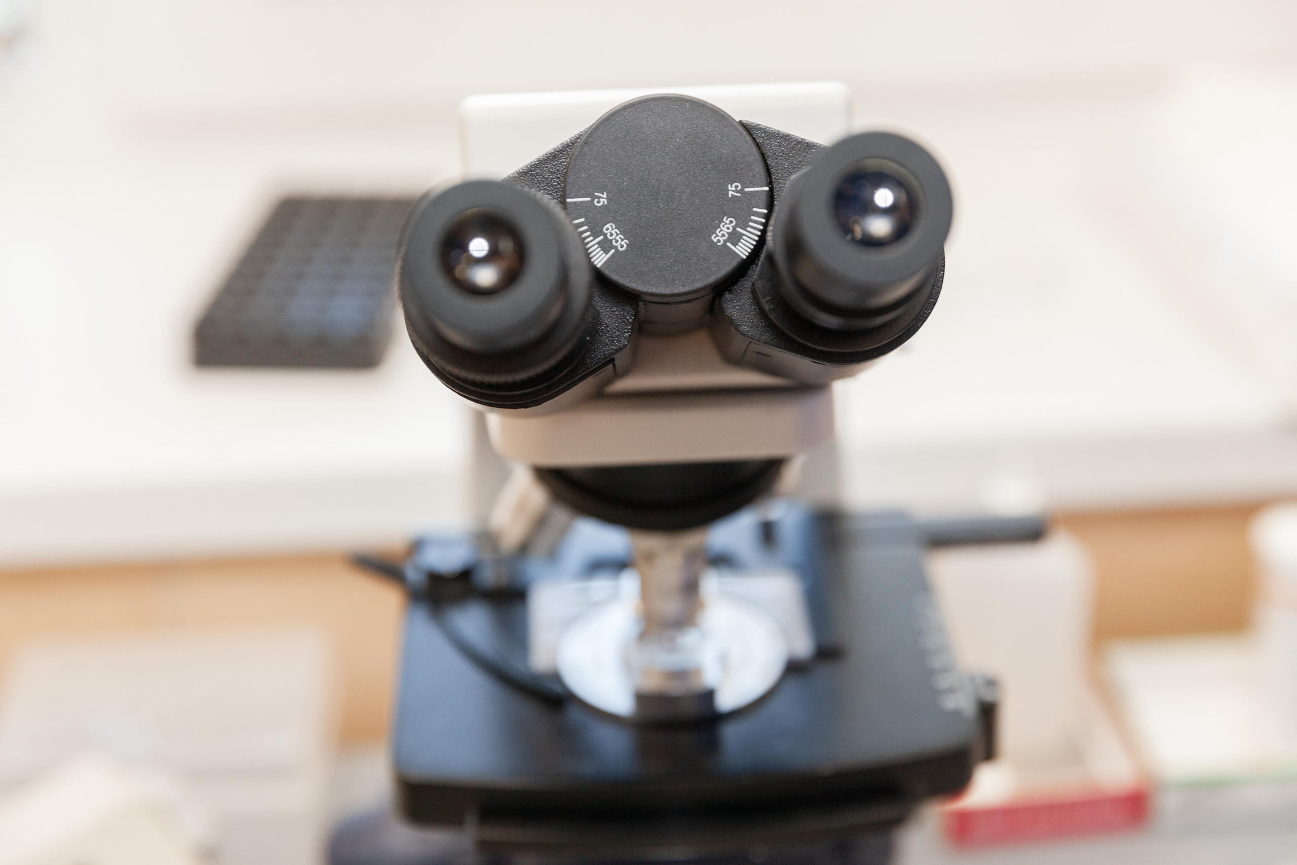 Медицина | Современные клиники. Χελιδόνι Семейный и церковный фотограф в Крыму и Симферополе Валерия Г