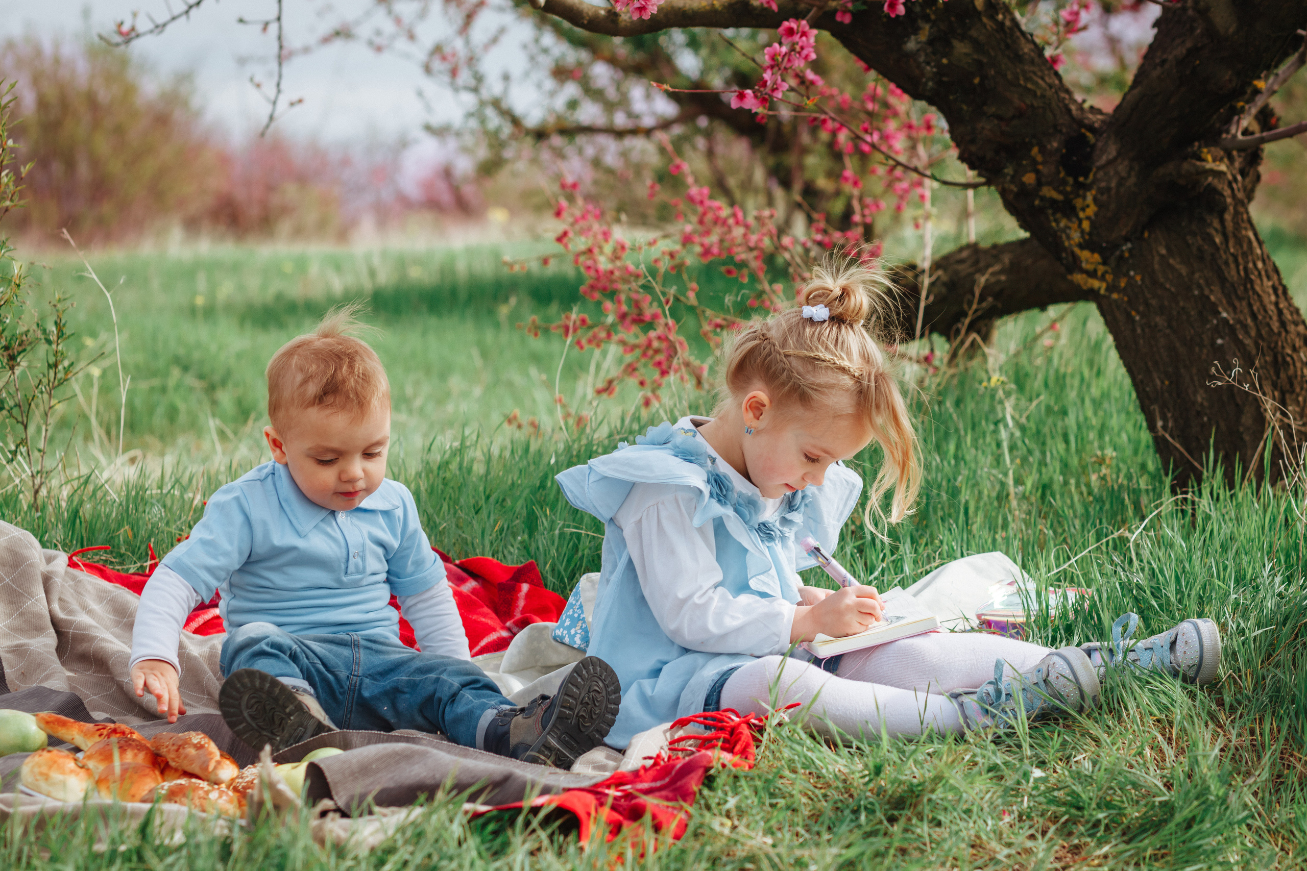 Пикник в персиковом саду. Χελιδόνι Семейный и церковный фотограф в Крыму и Симферополе Валерия Г