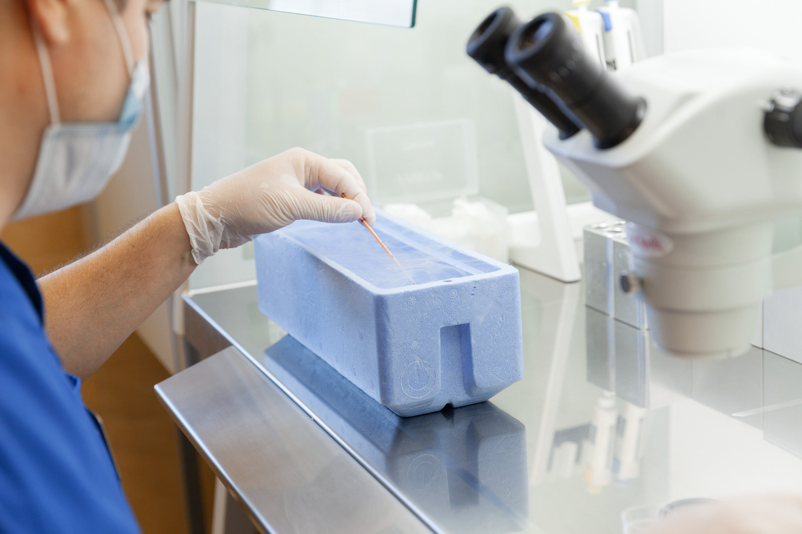 Медицина | Современные клиники. Χελιδόνι Семейный и церковный фотограф в Крыму и Симферополе Валерия Г