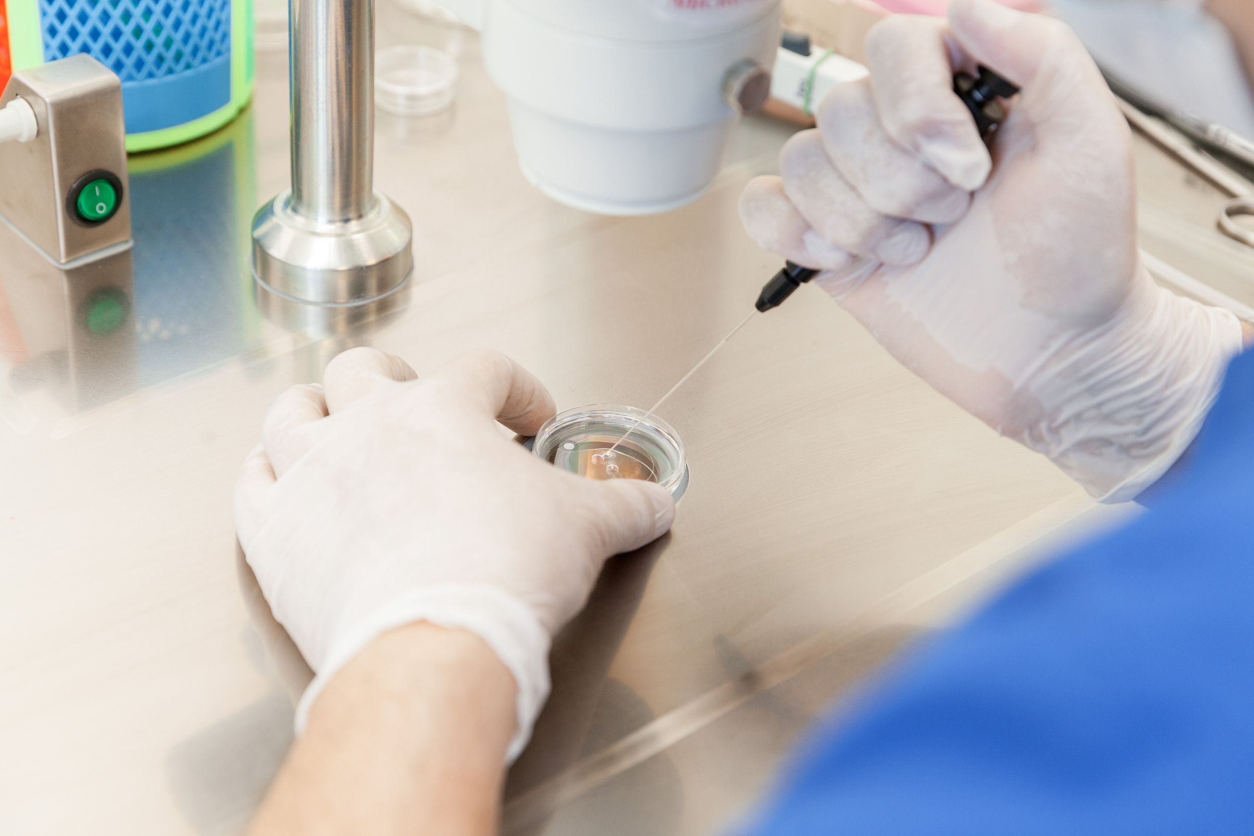 Медицина | Современные клиники. Χελιδόνι Семейный и церковный фотограф в Крыму и Симферополе Валерия Г