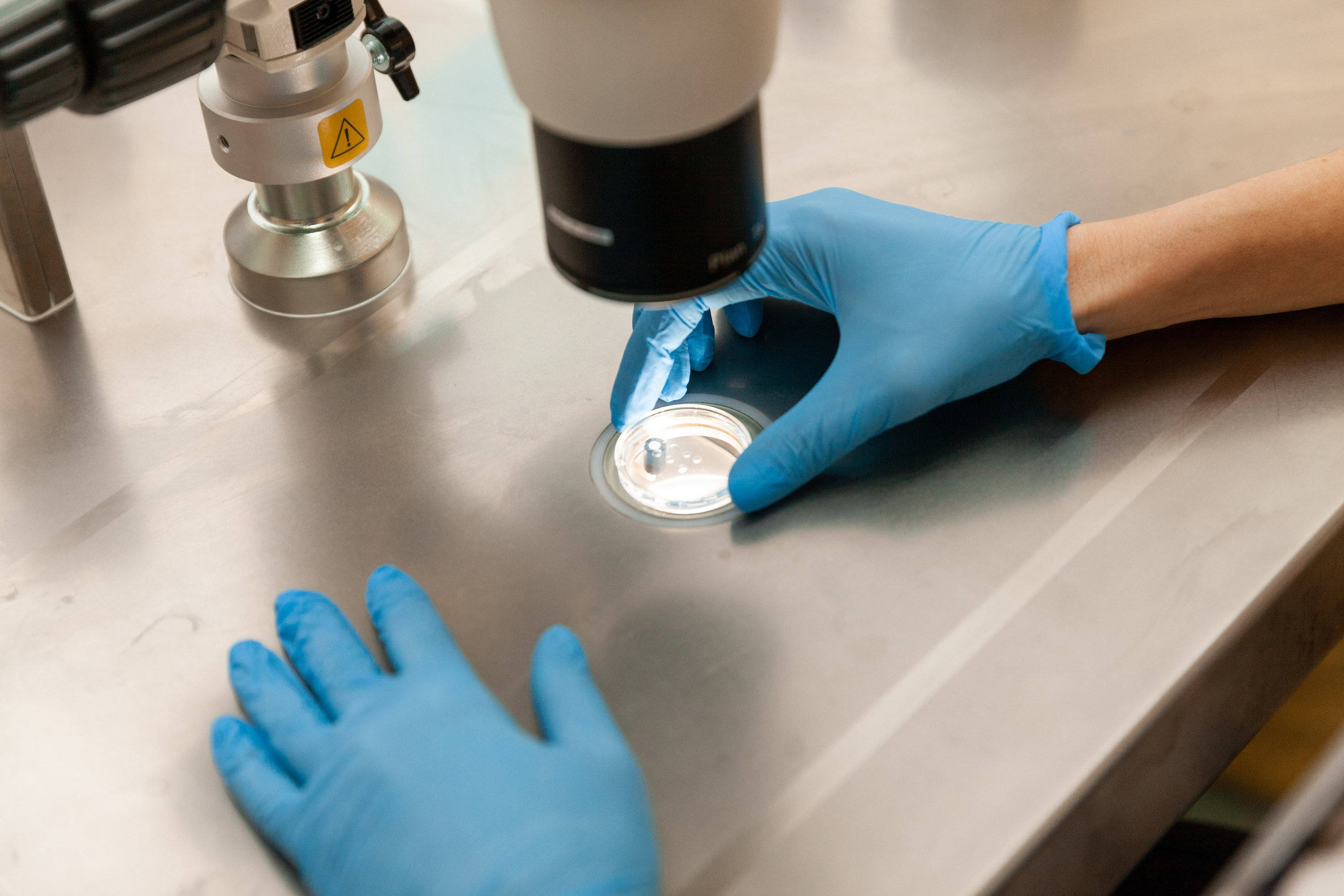 Медицина | Современные клиники. Χελιδόνι Семейный и церковный фотограф в Крыму и Симферополе Валерия Г