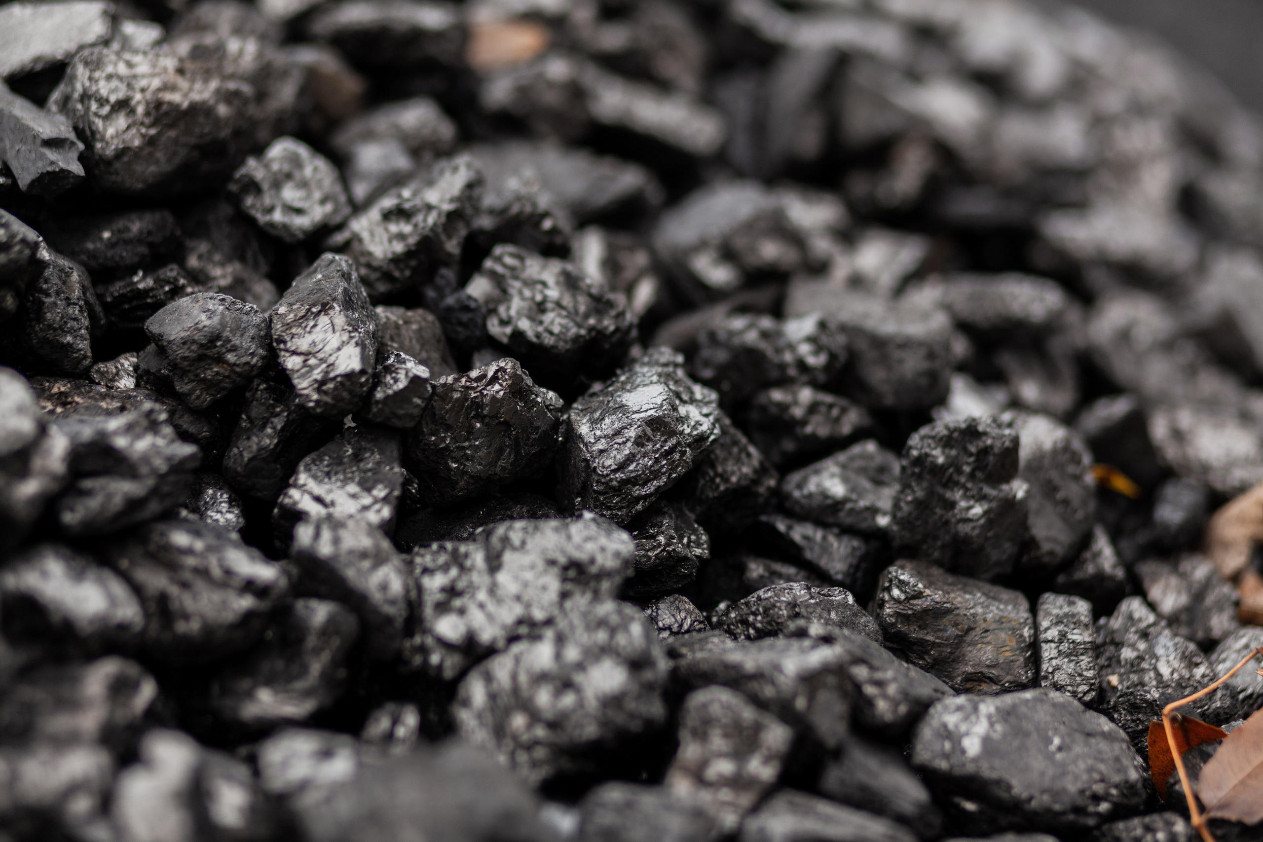 Уголь =). Χελιδόνι Семейный и церковный фотограф в Крыму и Симферополе Валерия Г