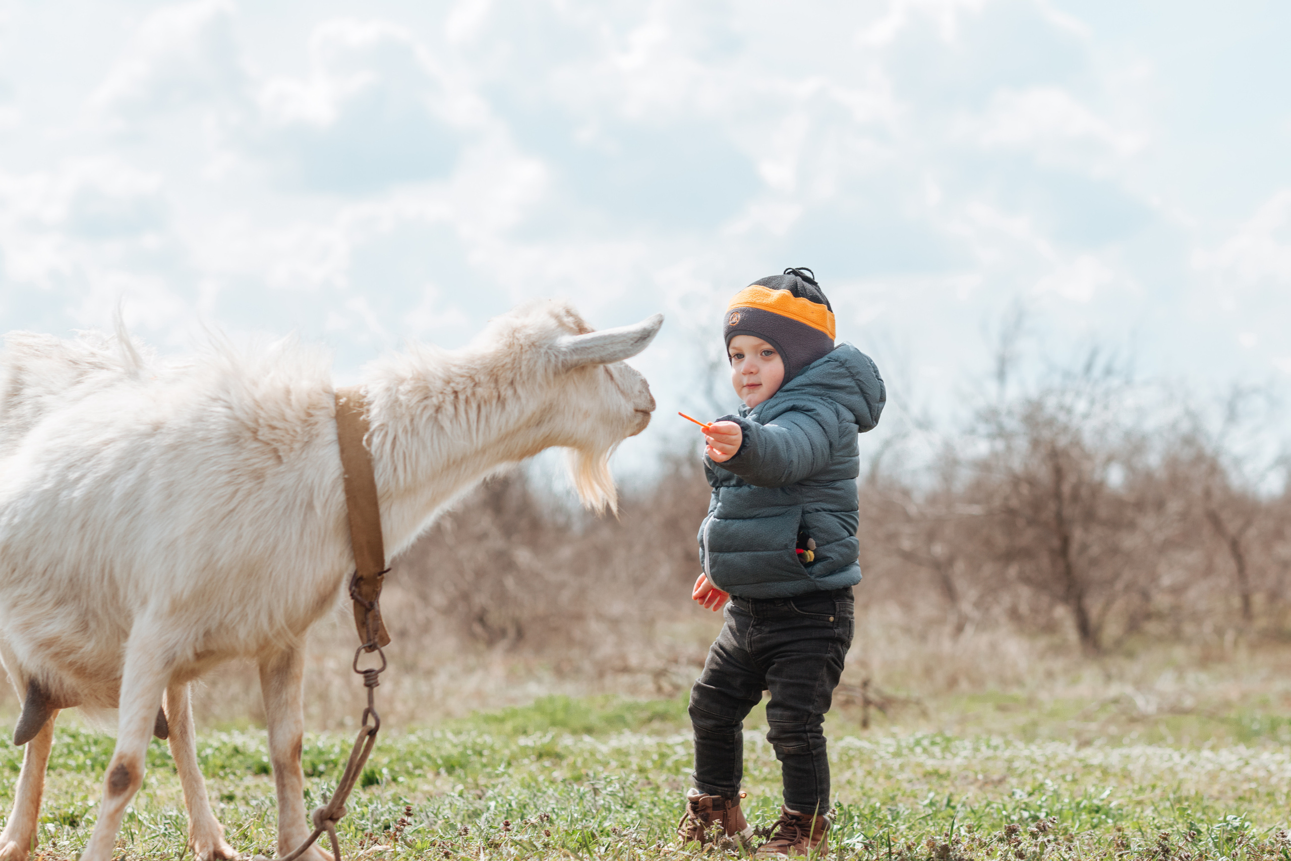 В деревне =). Χελιδόνι Семейный и церковный фотограф в Крыму и Симферополе Валерия Г