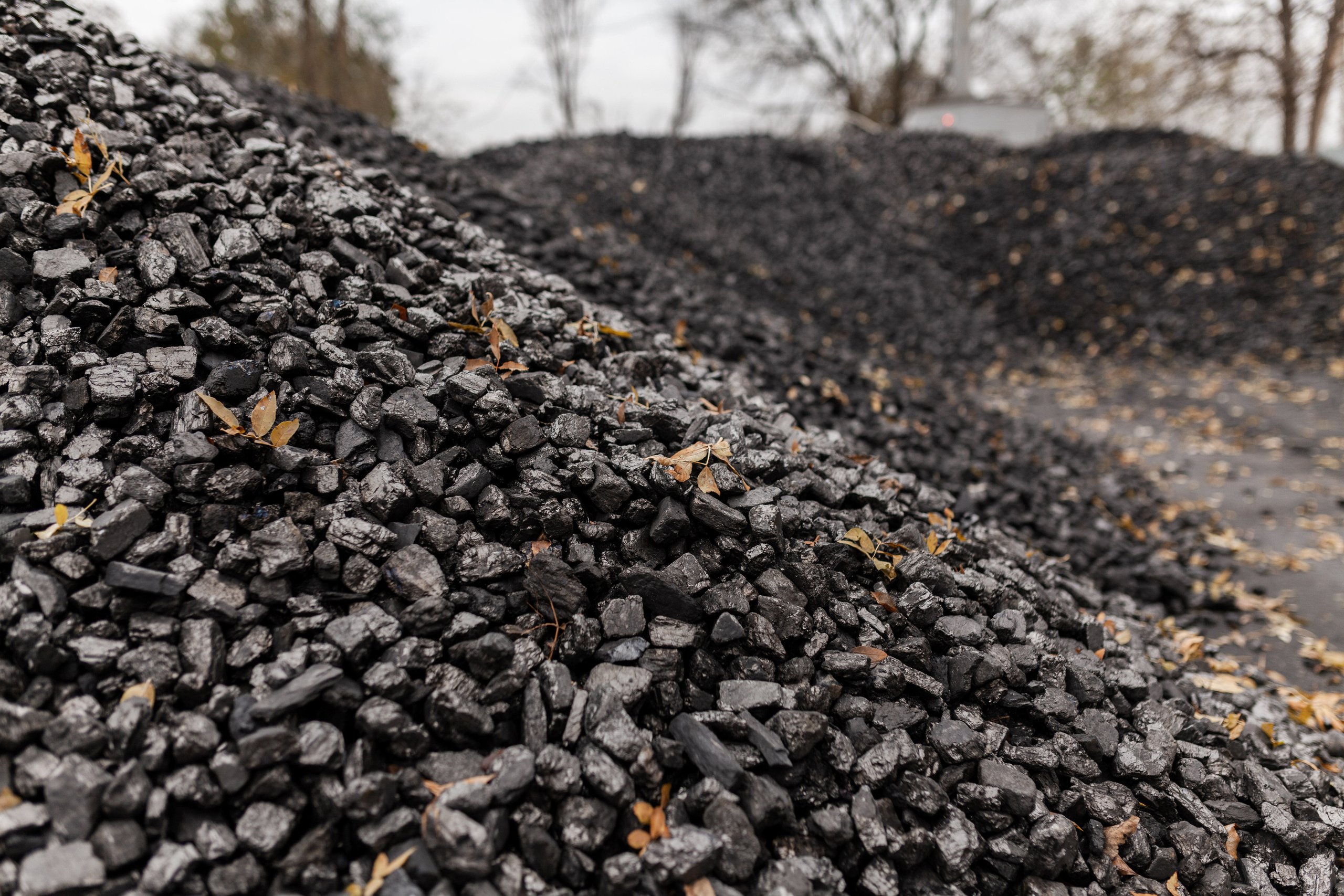 Уголь =). Χελιδόνι Семейный и церковный фотограф в Крыму и Симферополе Валерия Г