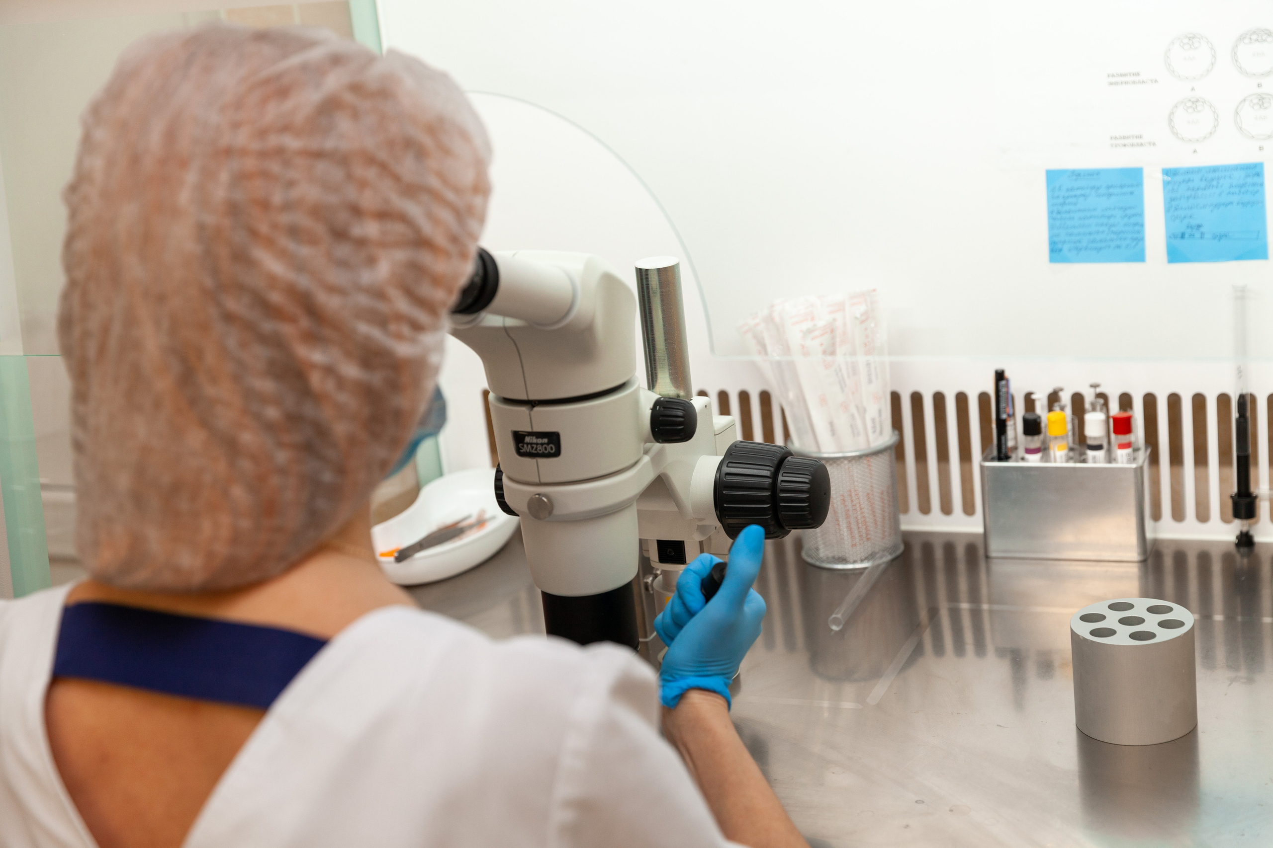 Медицина | Современные клиники. Χελιδόνι Семейный и церковный фотограф в Крыму и Симферополе Валерия Г