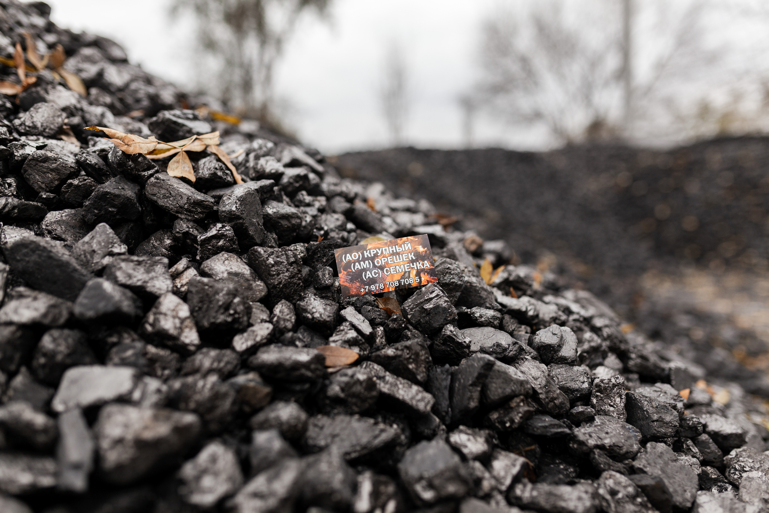 Уголь =). Χελιδόνι Семейный и церковный фотограф в Крыму и Симферополе Валерия Г
