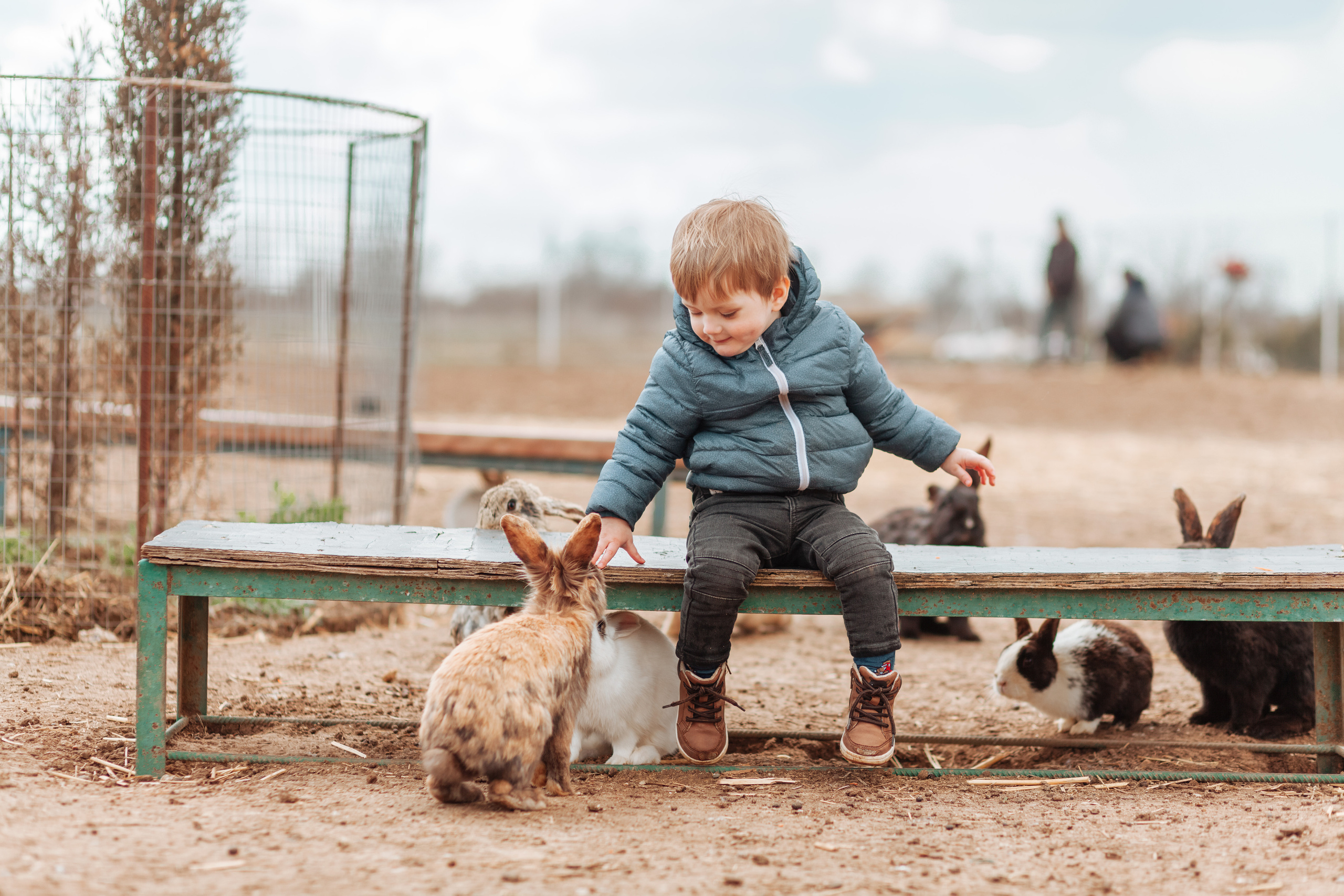 В деревне =). Χελιδόνι Семейный и церковный фотограф в Крыму и Симферополе Валерия Г