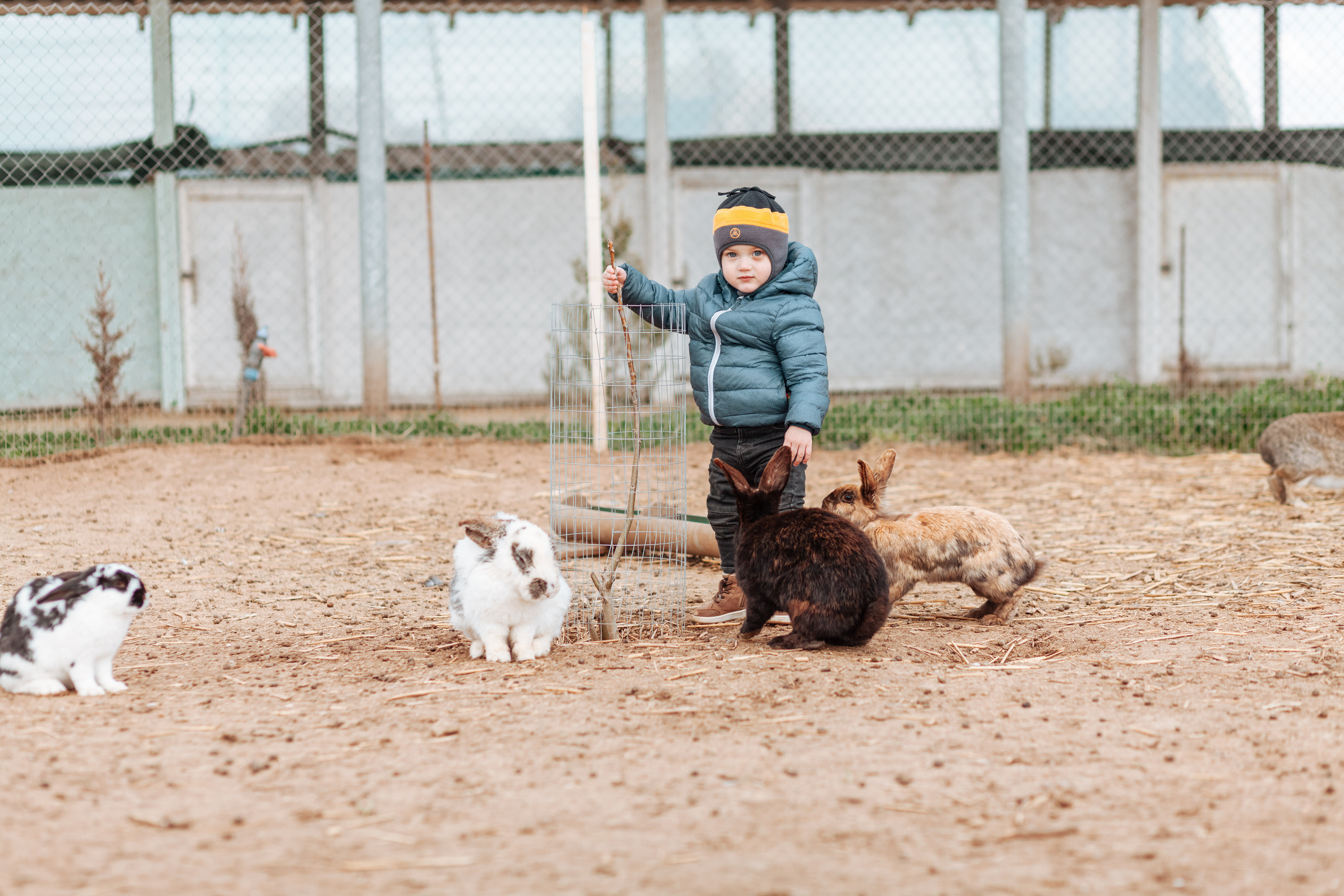 В деревне =). Χελιδόνι Семейный и церковный фотограф в Крыму и Симферополе Валерия Г